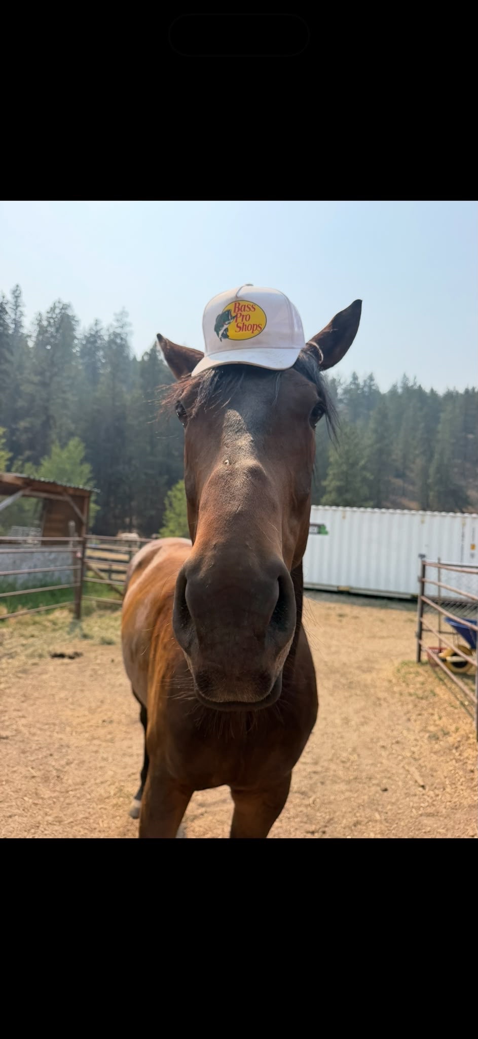 Emergency support for our family after wildfire campaign photo, 4 of 8