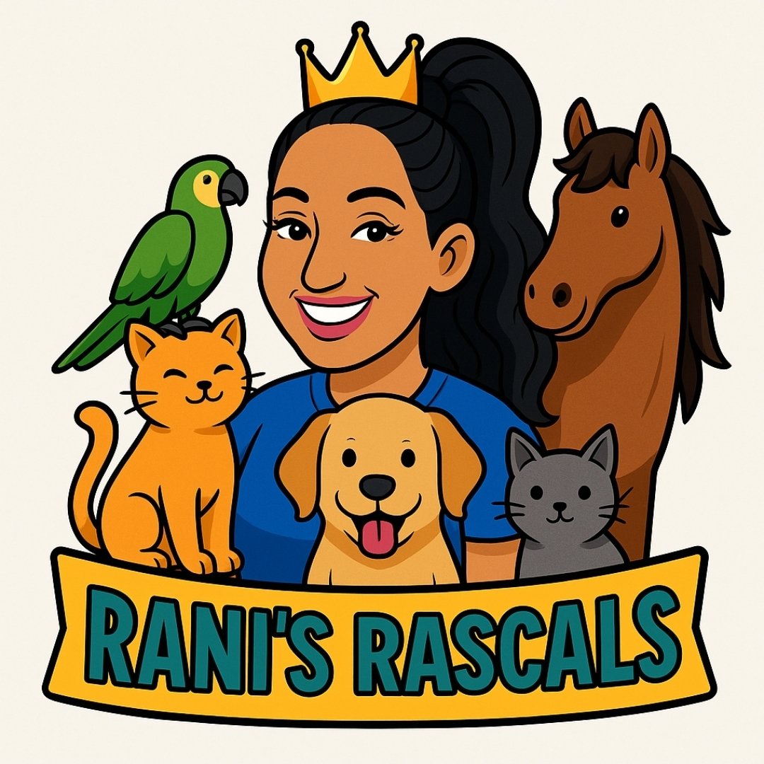 Help Rani Rebuild Rani’s Rascals campaign photo, 2 of 8