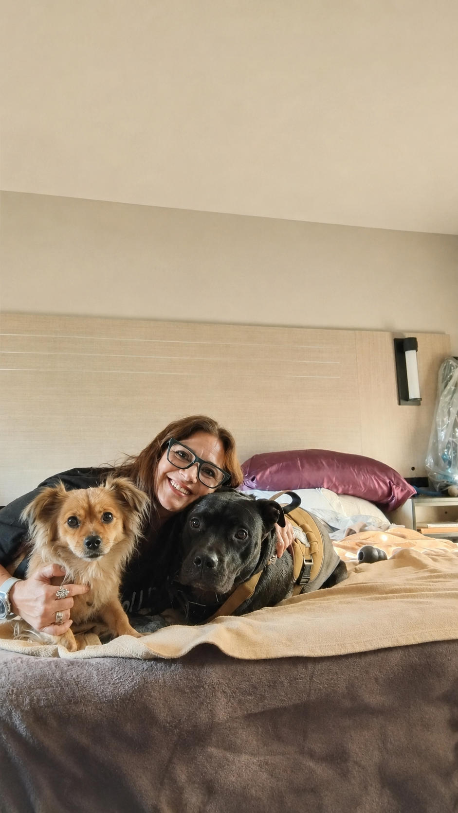 Shelter and Safety for Me and My Dogs campaign photo, 2 of 5