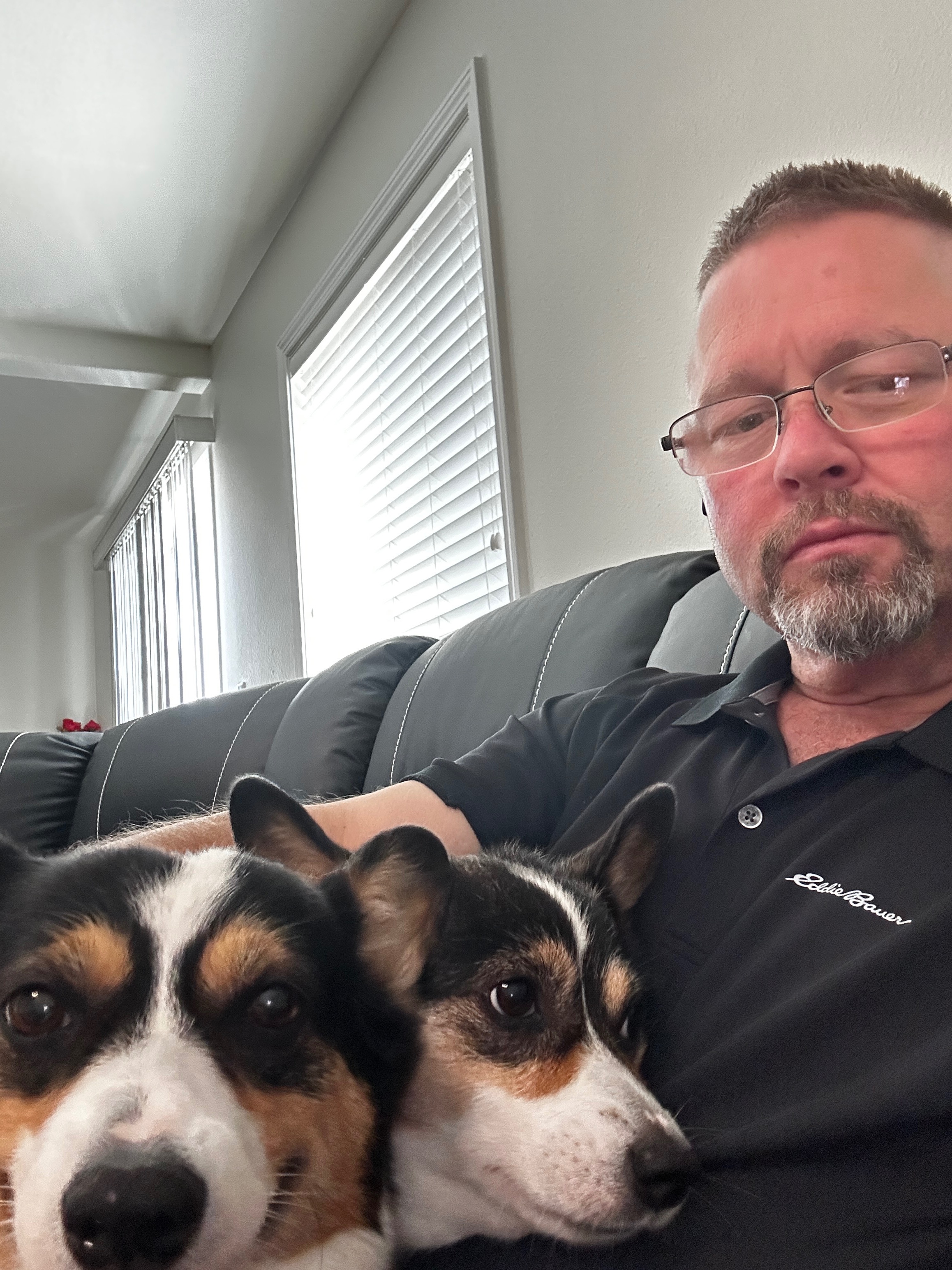 Help my Corgi girls Charlee and Piper Heal campaign photo, 2 of 11