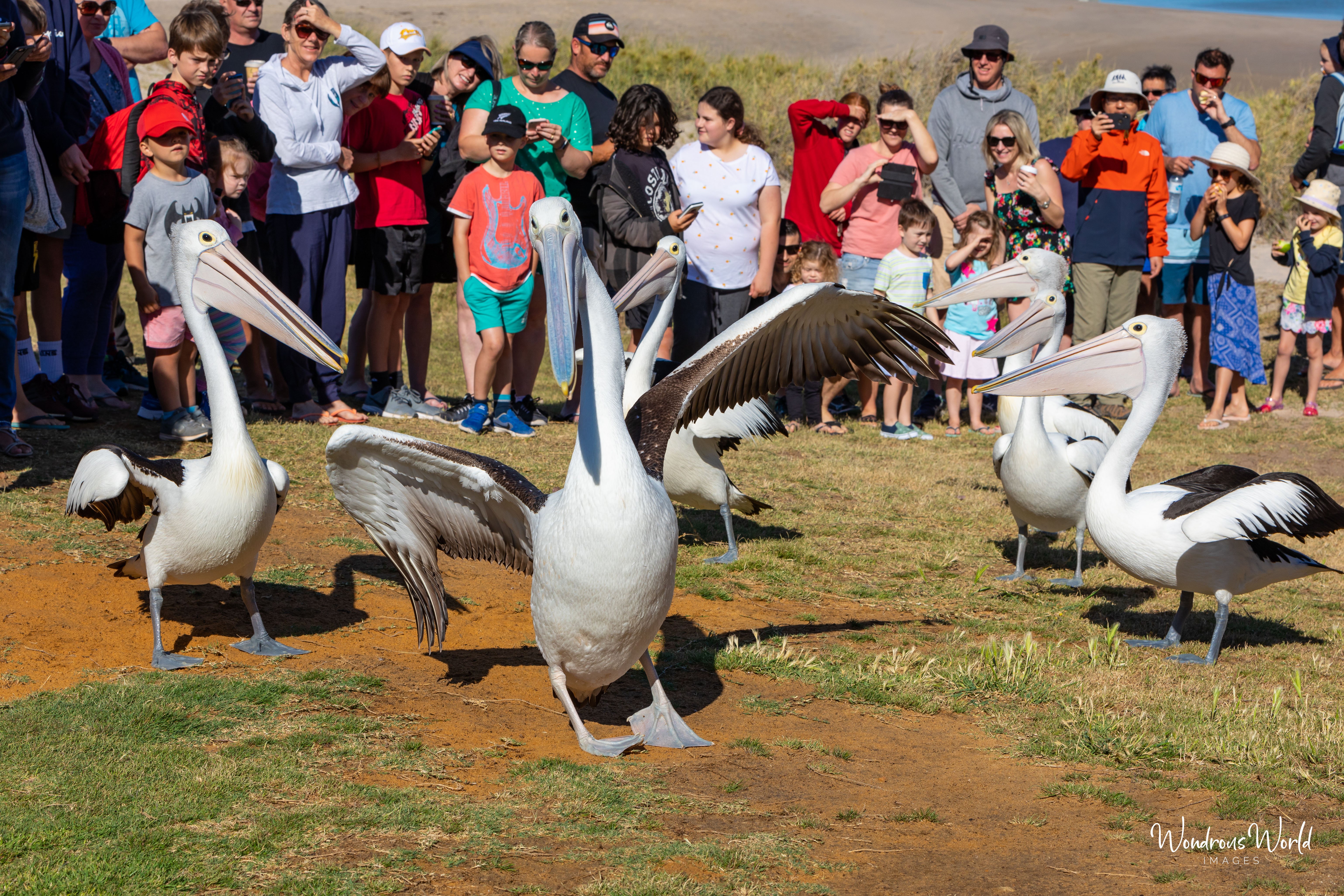 Bring Local Health Care Back to Kalbarri campaign photo, 5 of 8