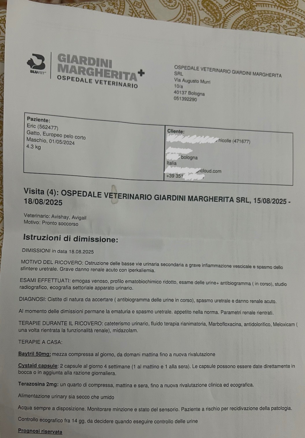Un aiuto per Eric: operazione e cure d'urgenza campaign photo, 7 of 8