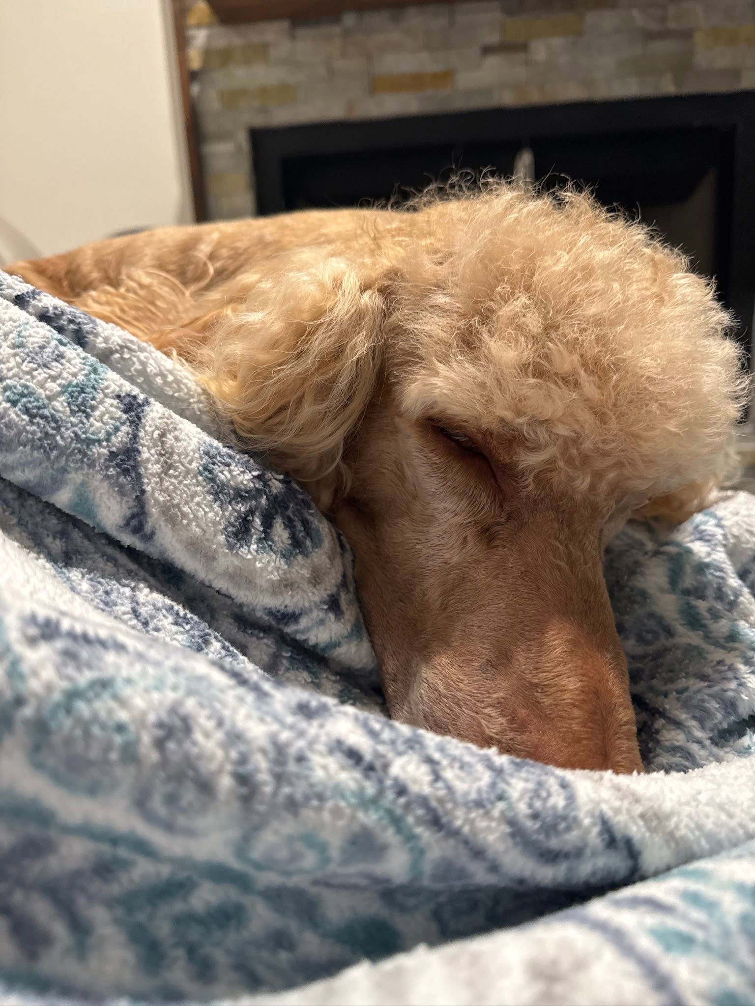Care for Jaque: Medical Funds Needed campaign photo, 5 of 8