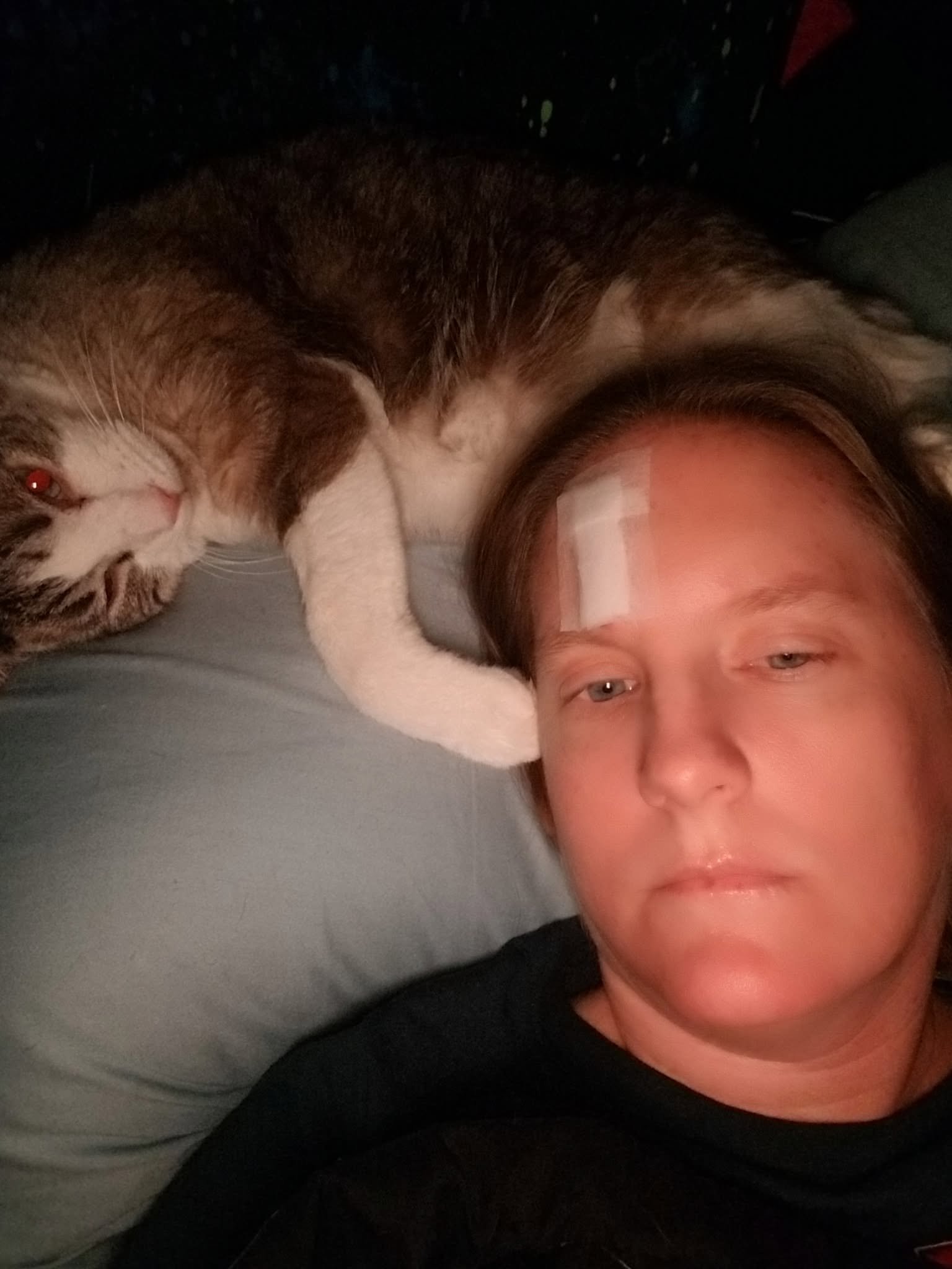 Aid Squeaker’s Recovery and Medical Care campaign photo, 4 of 6