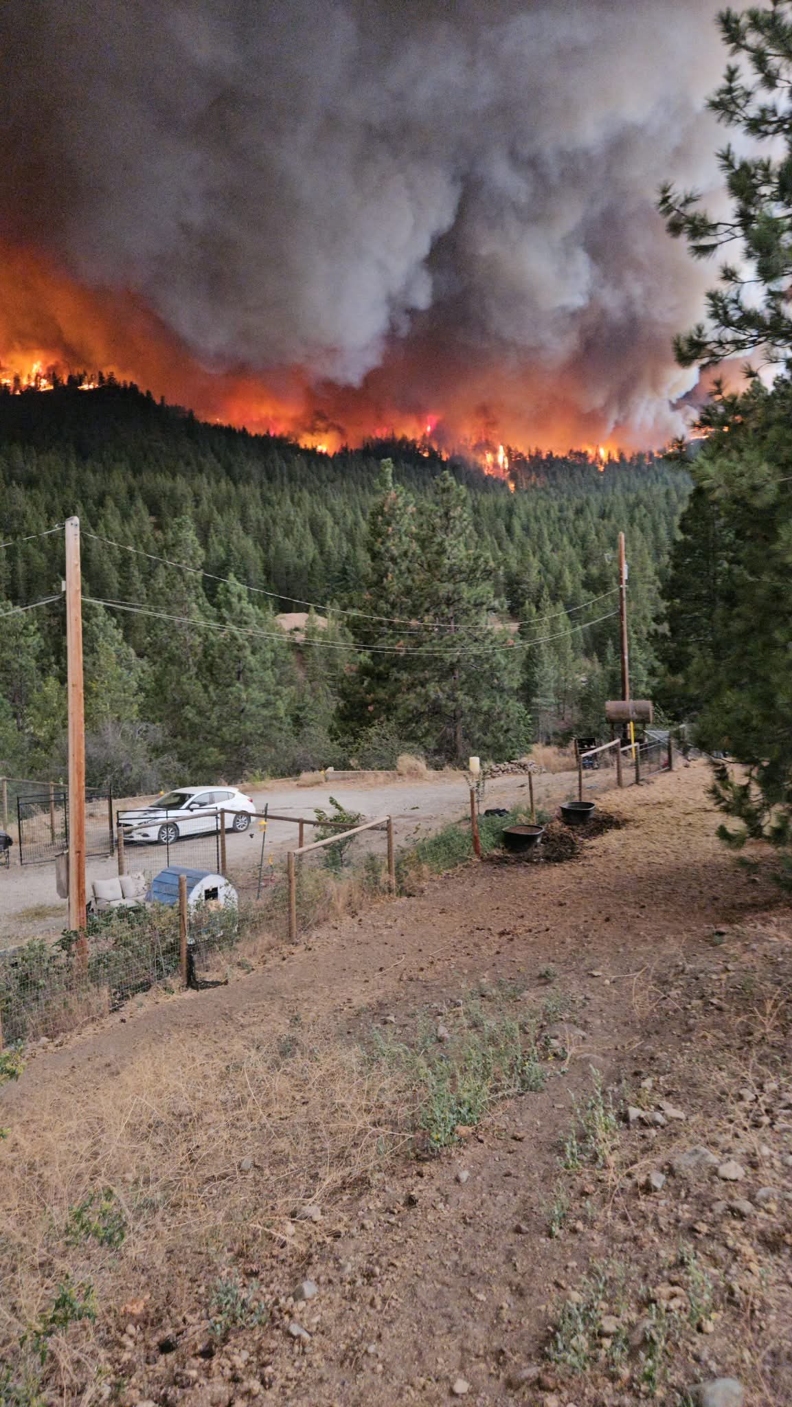 Support our colleague and friend after the Summerland fire campaign photo, 5 of 8