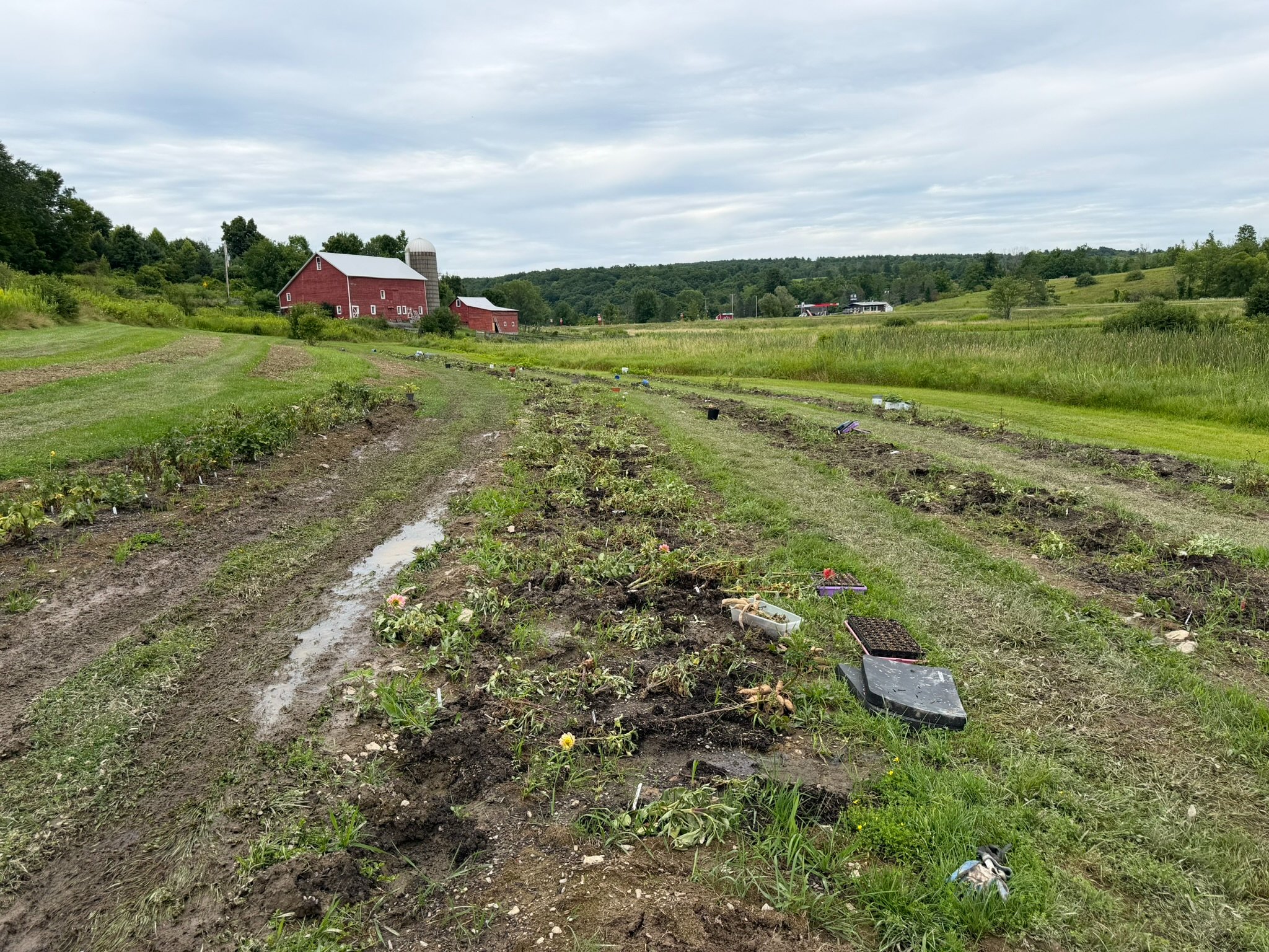 Support Guiding Green Thumbs Farm After Devastating Flood campaign photo, 7 of 8