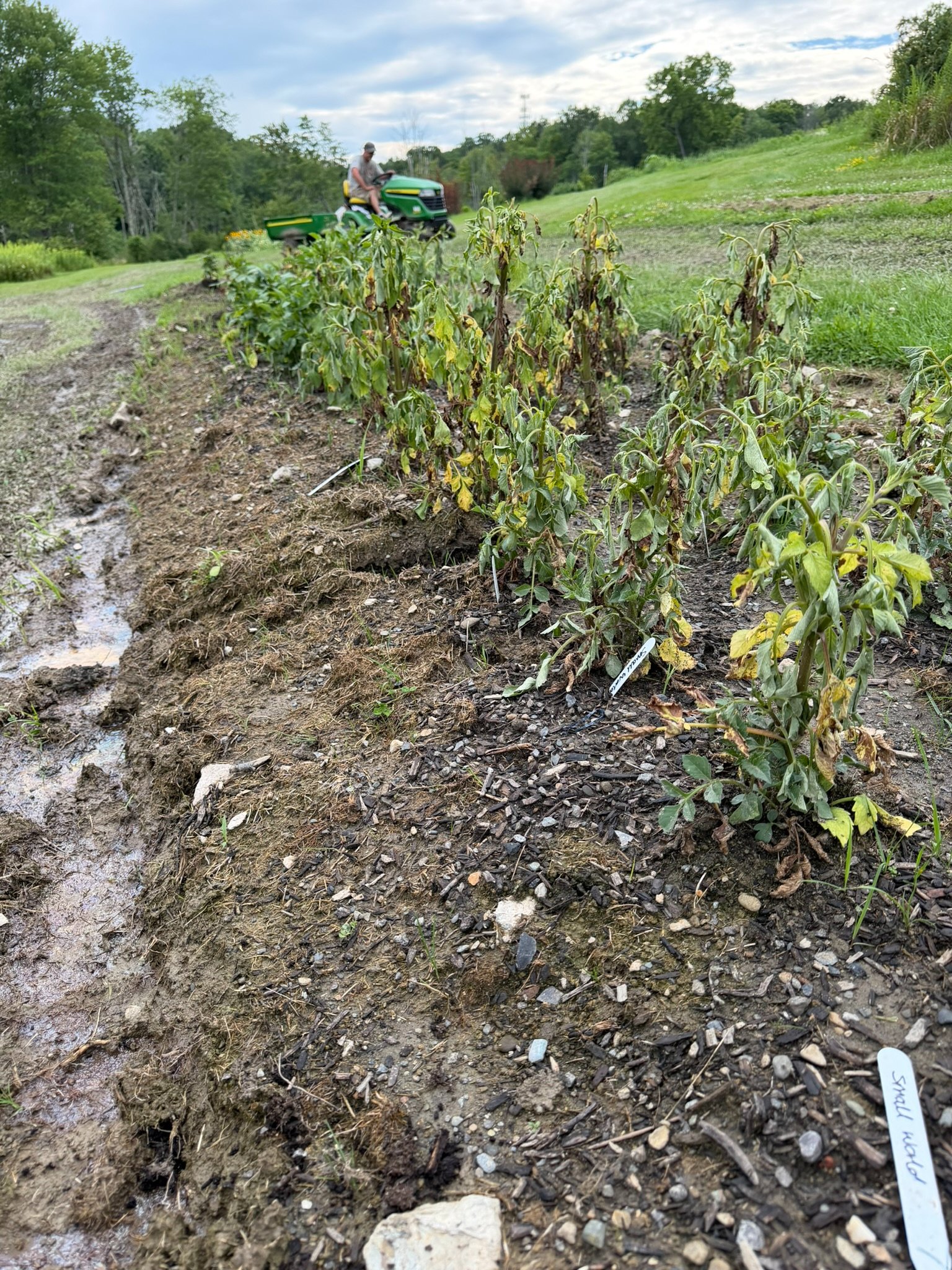 Support Guiding Green Thumbs Farm After Devastating Flood campaign photo, 2 of 8