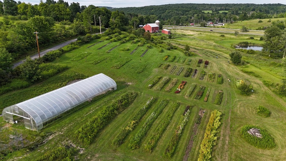 Support Guiding Green Thumbs Farm After Devastating Flood campaign photo, 5 of 8