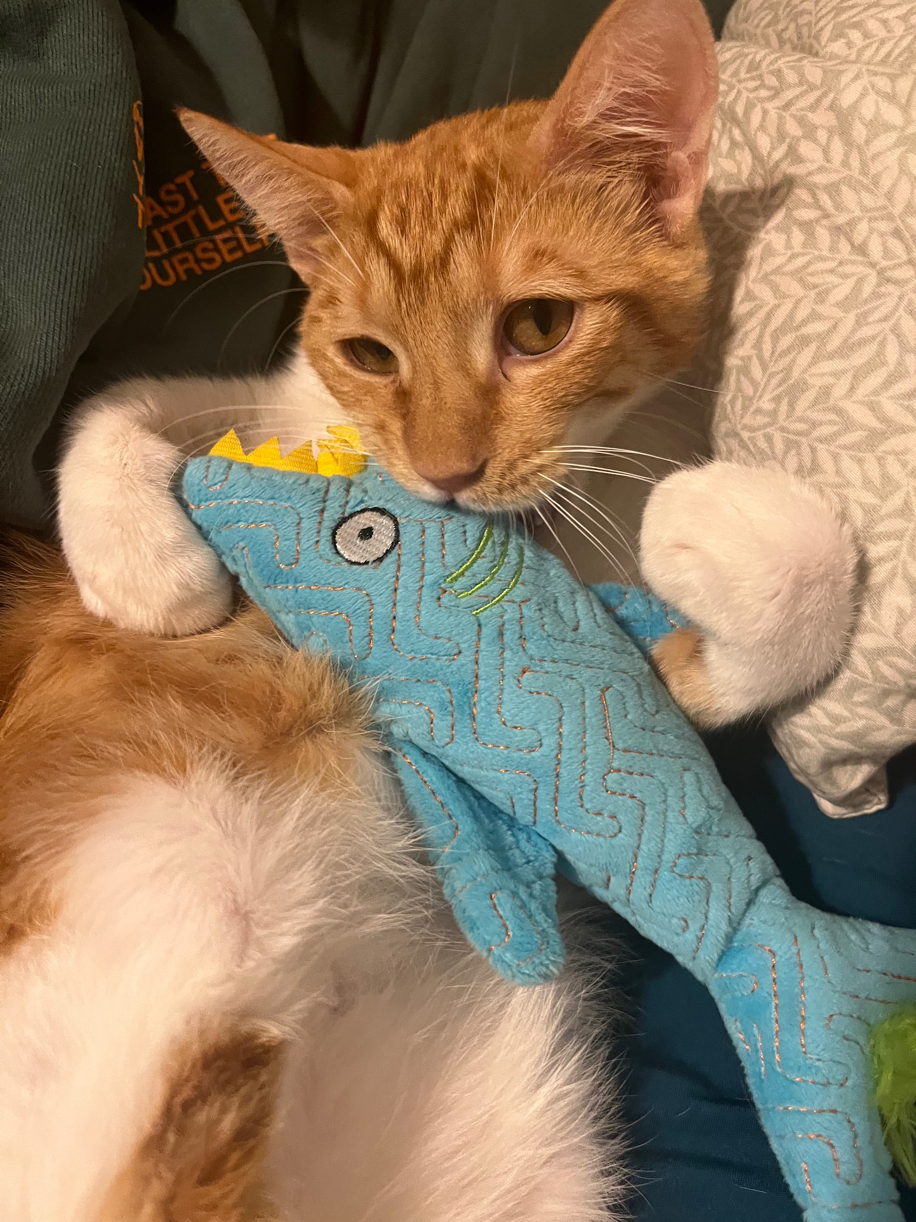 Help Fund Nugget’s Hospitalization for his Bladder Block campaign photo, 6 of 8