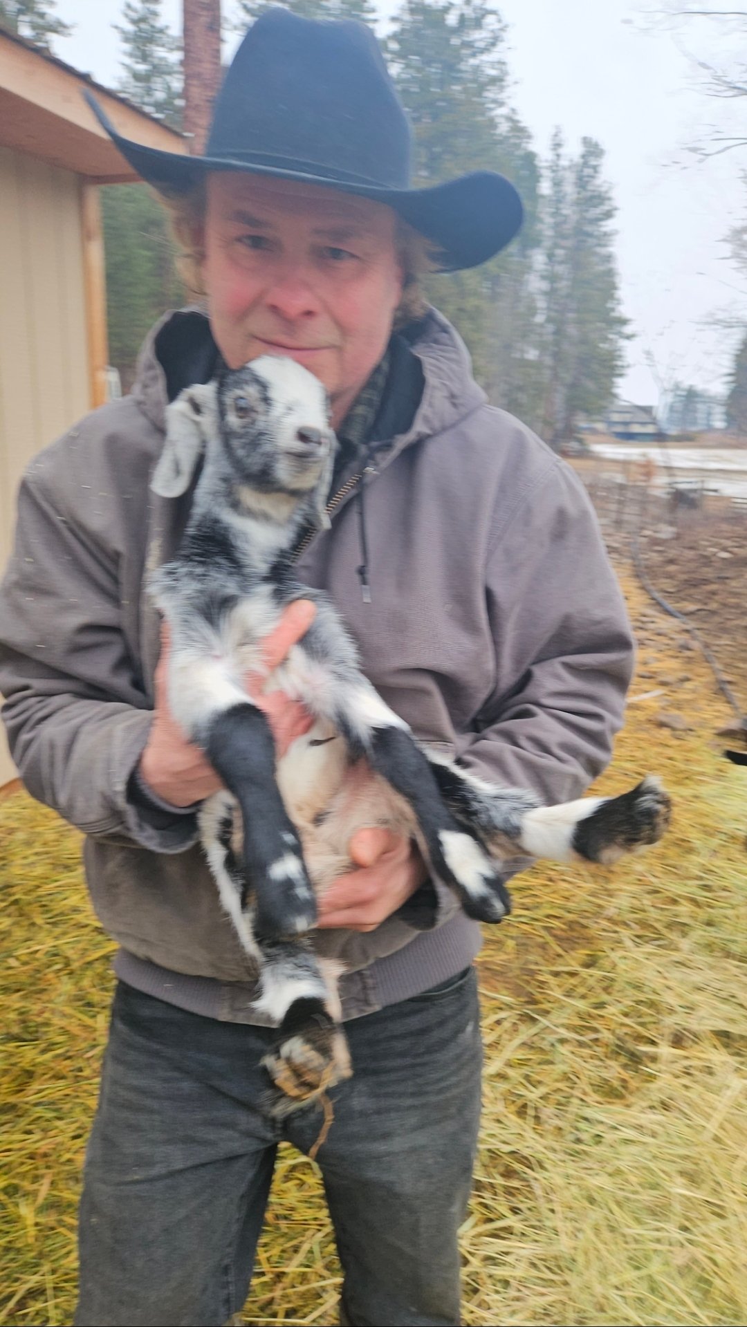 BALD RANGE FIRE RECOVERY - NEW BEGINNINGS ANIMAL SANCTUARY campaign photo, 4 of 5