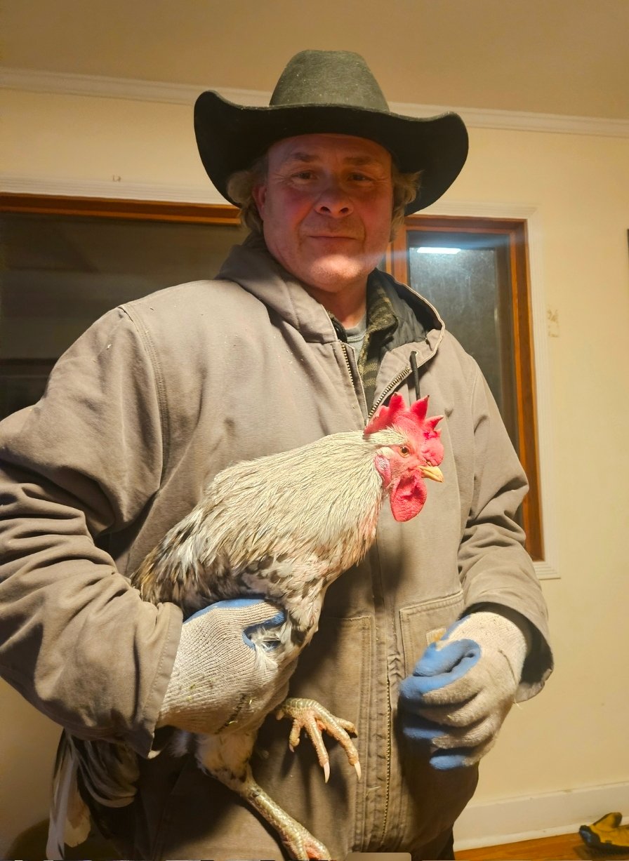 BALD RANGE FIRE RECOVERY - NEW BEGINNINGS ANIMAL SANCTUARY campaign photo, 2 of 5