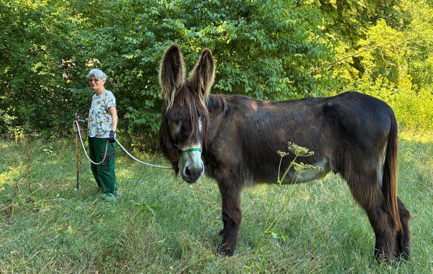 Ein neuer Gefährte für Fridolin! campaign photo, 4 of 8