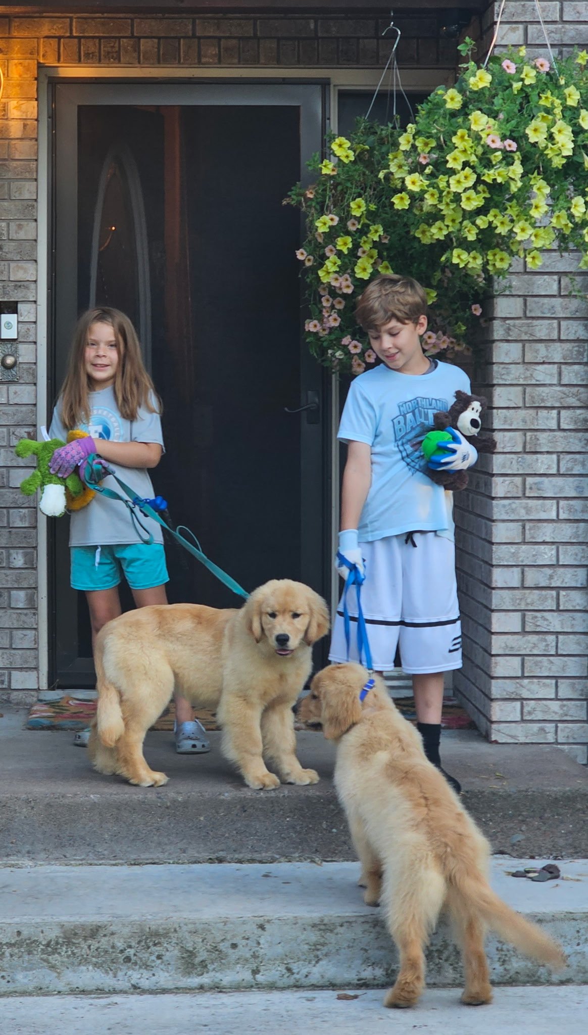 Help the Brandt Family After Puppy Tragedy campaign photo, 5 of 6