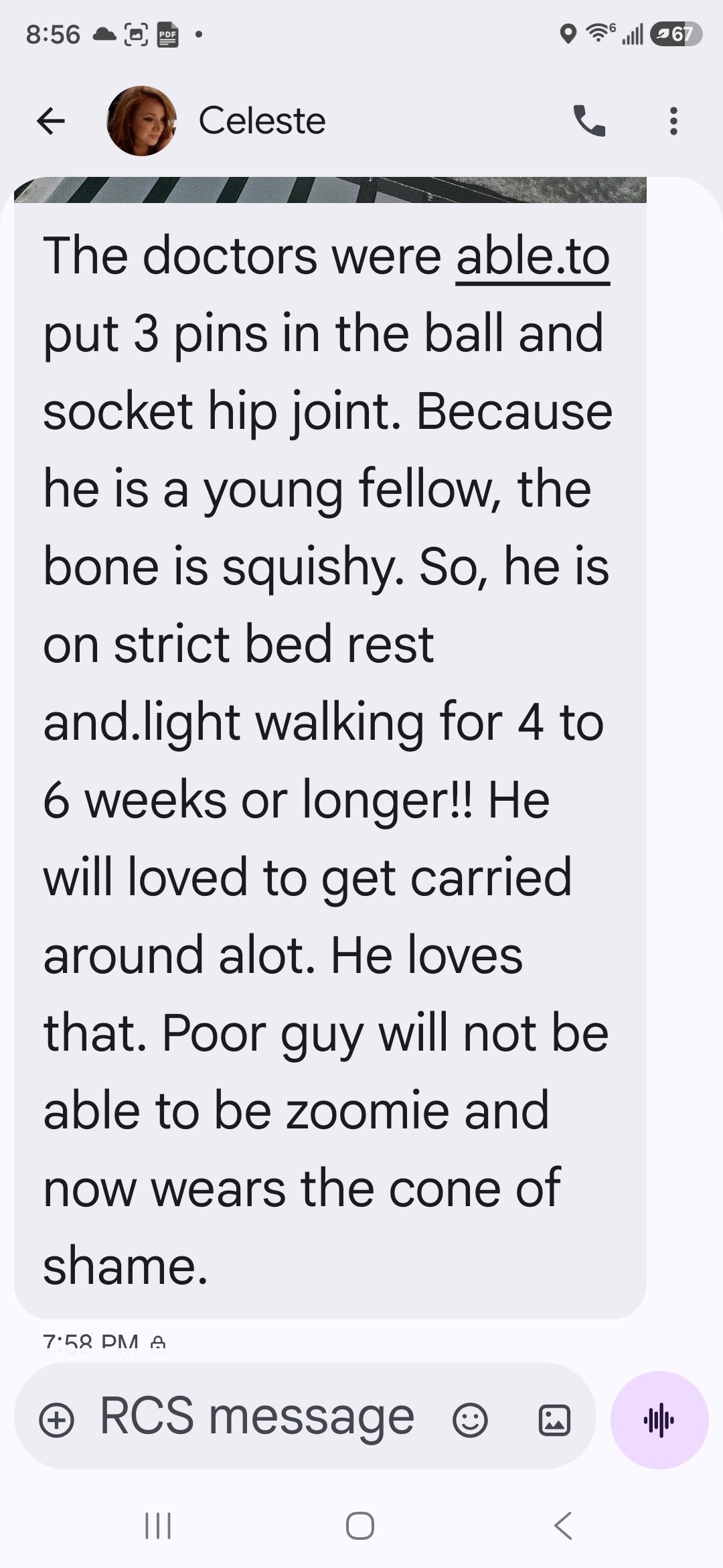 Help the Brandt Family After Puppy Tragedy campaign photo, 2 of 6
