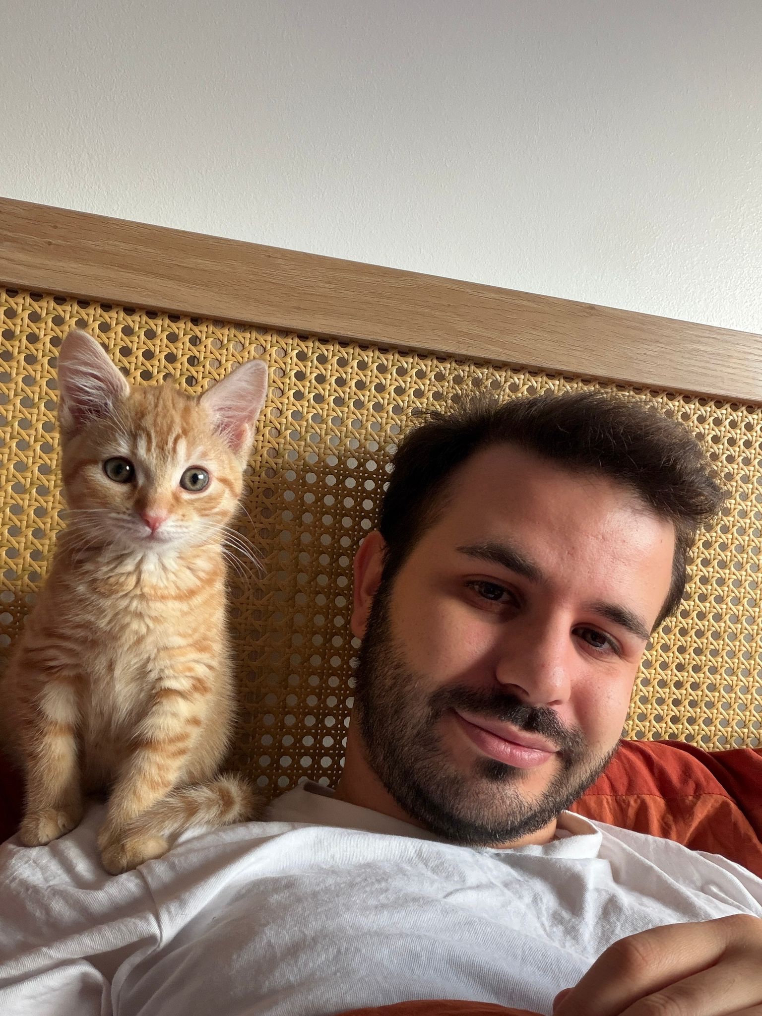 Emergency surgery for Olivia, a 4-month-old kitten campaign photo, 4 of 7
