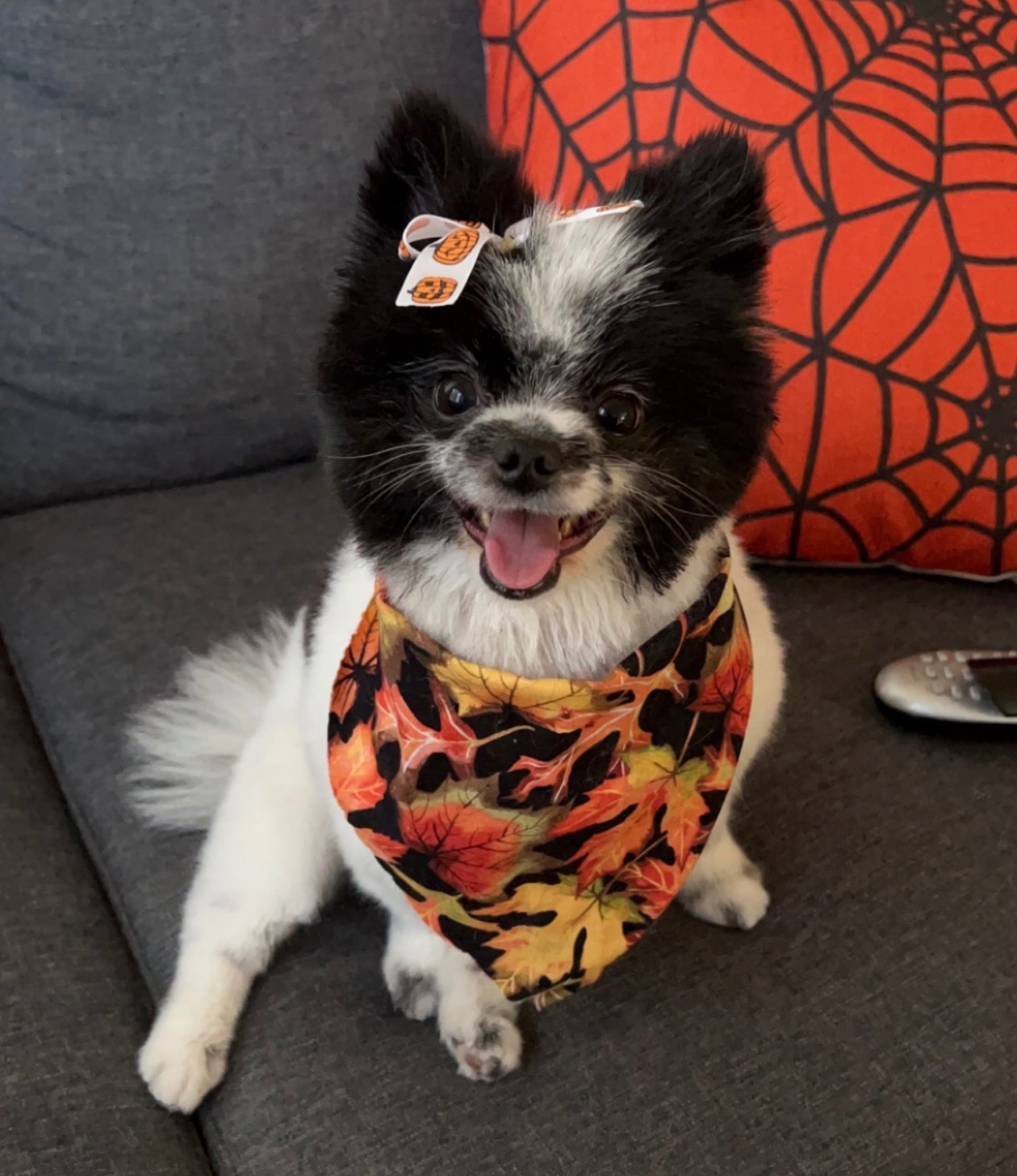 Help Aurora Heal After Her Leg Amputation campaign photo, 7 of 8