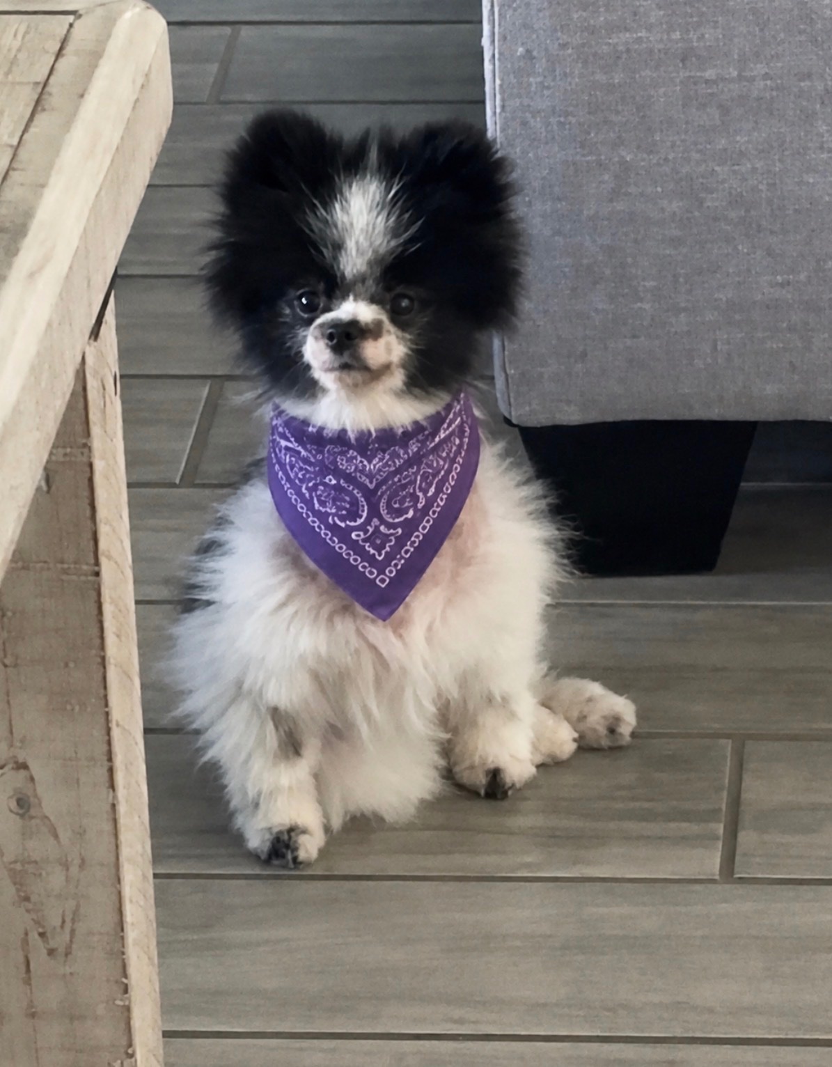 Help Aurora Heal After Her Leg Amputation campaign photo, 4 of 8