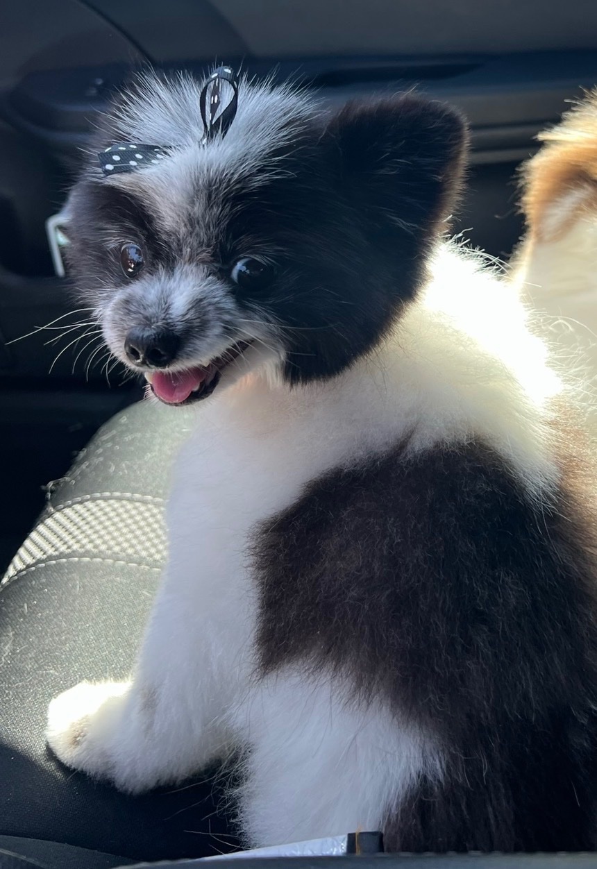 Help Aurora Heal After Her Leg Amputation campaign photo, 6 of 8