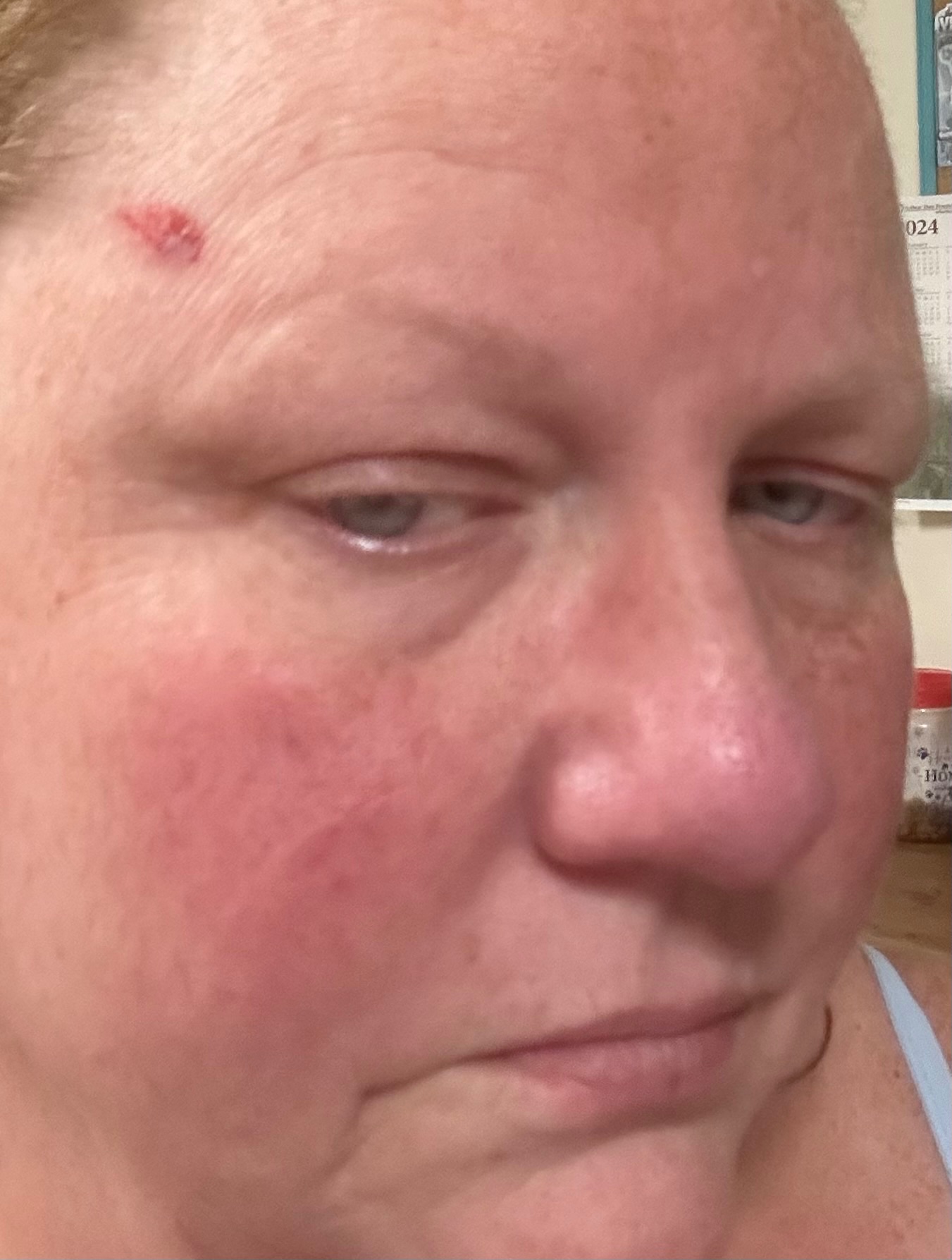 Help Wendy Rebuild Her Life campaign photo, 2 of 6
