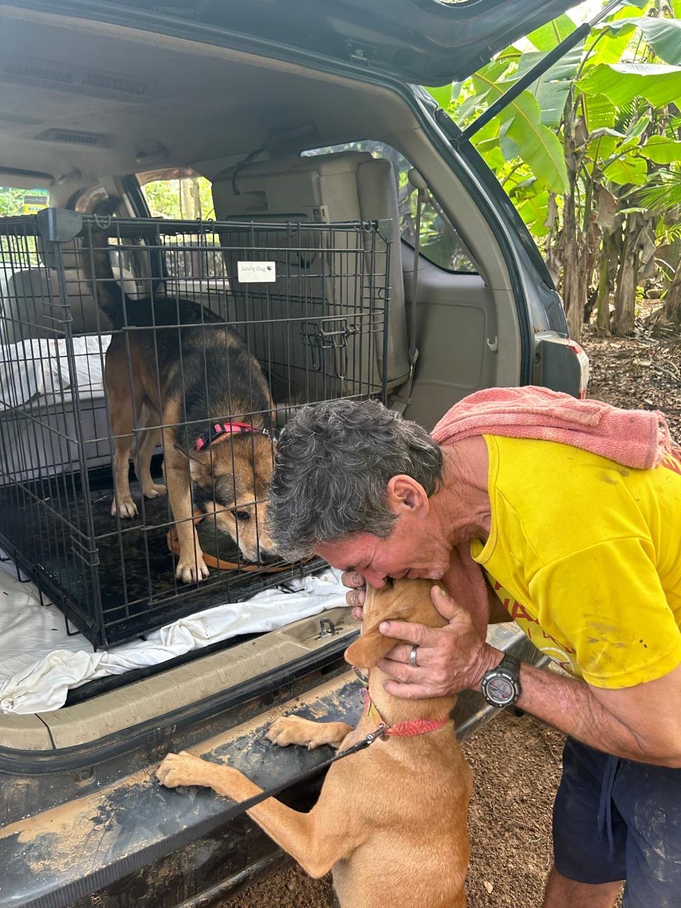 Finish Don Cristóbal’s Mission for the Dogs campaign photo, 4 of 8