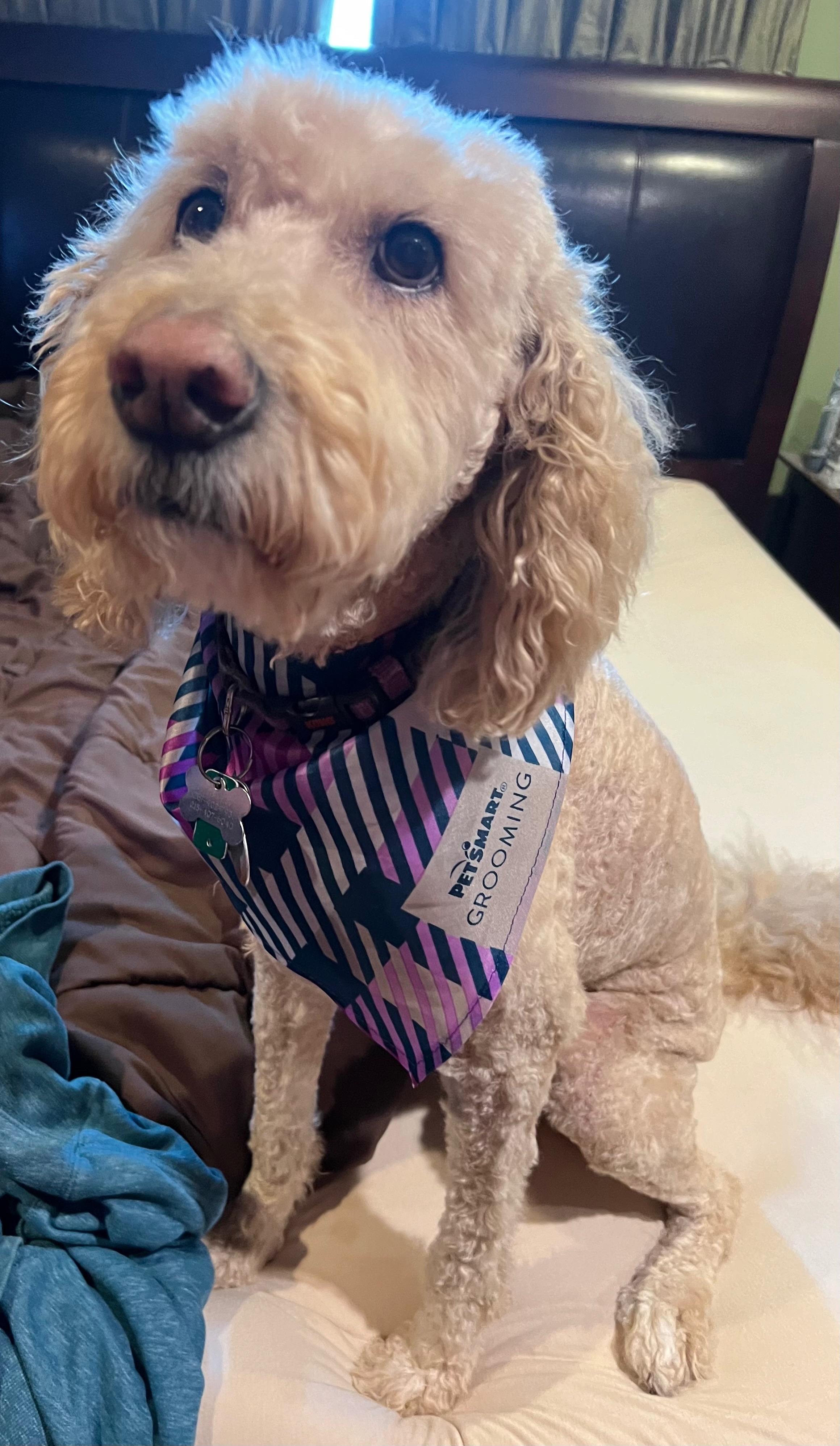 Fundraiser by THEE Zophar : Help Zoey Get the Care She Needs