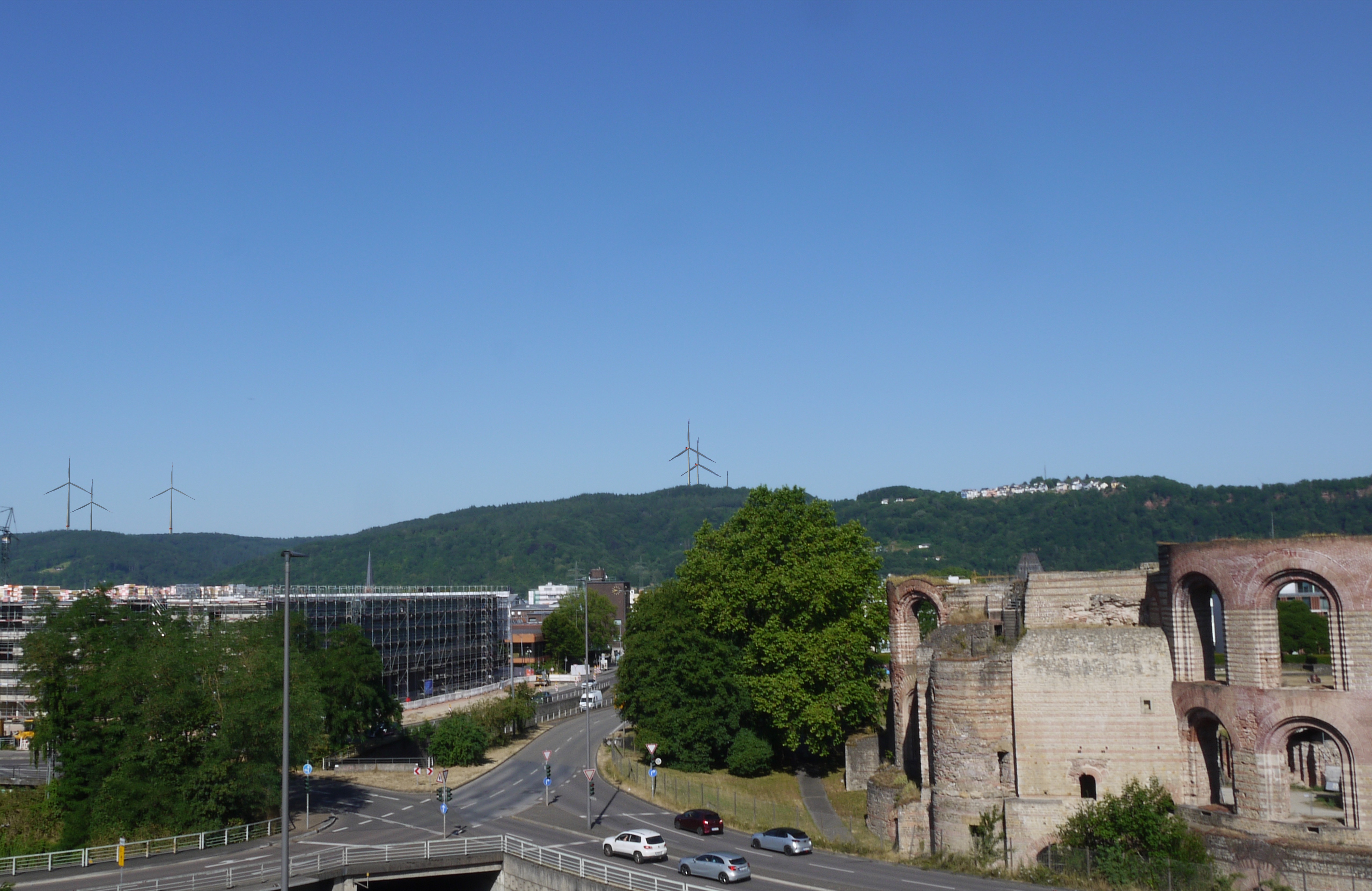 Kampagnen-Foto für Gemeinsam für unseren Trierer Stadtwald, 4 von 8