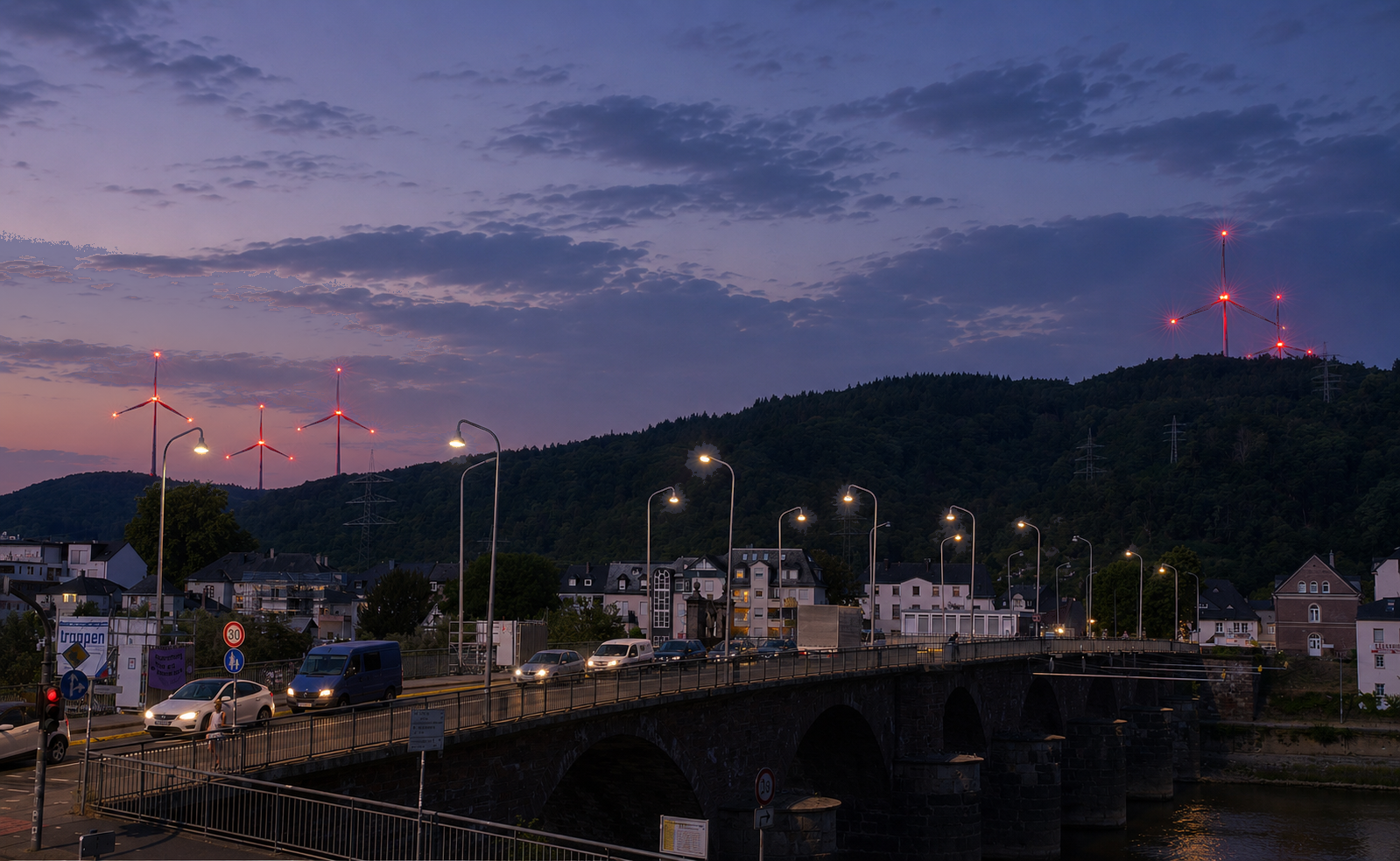 Kampagnen-Foto für Gemeinsam für unseren Trierer Stadtwald, 6 von 8
