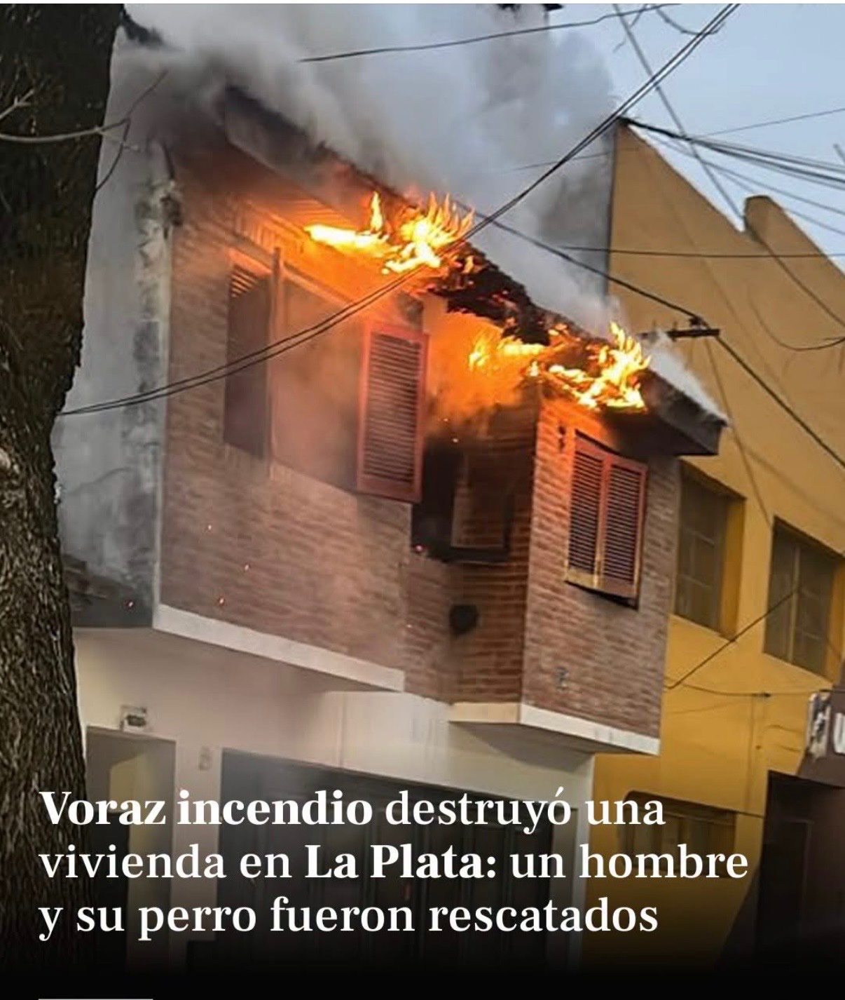 Help Me Rebuild My Life After a Fire.  -Pablo Rizo campaign photo, 2 of 12