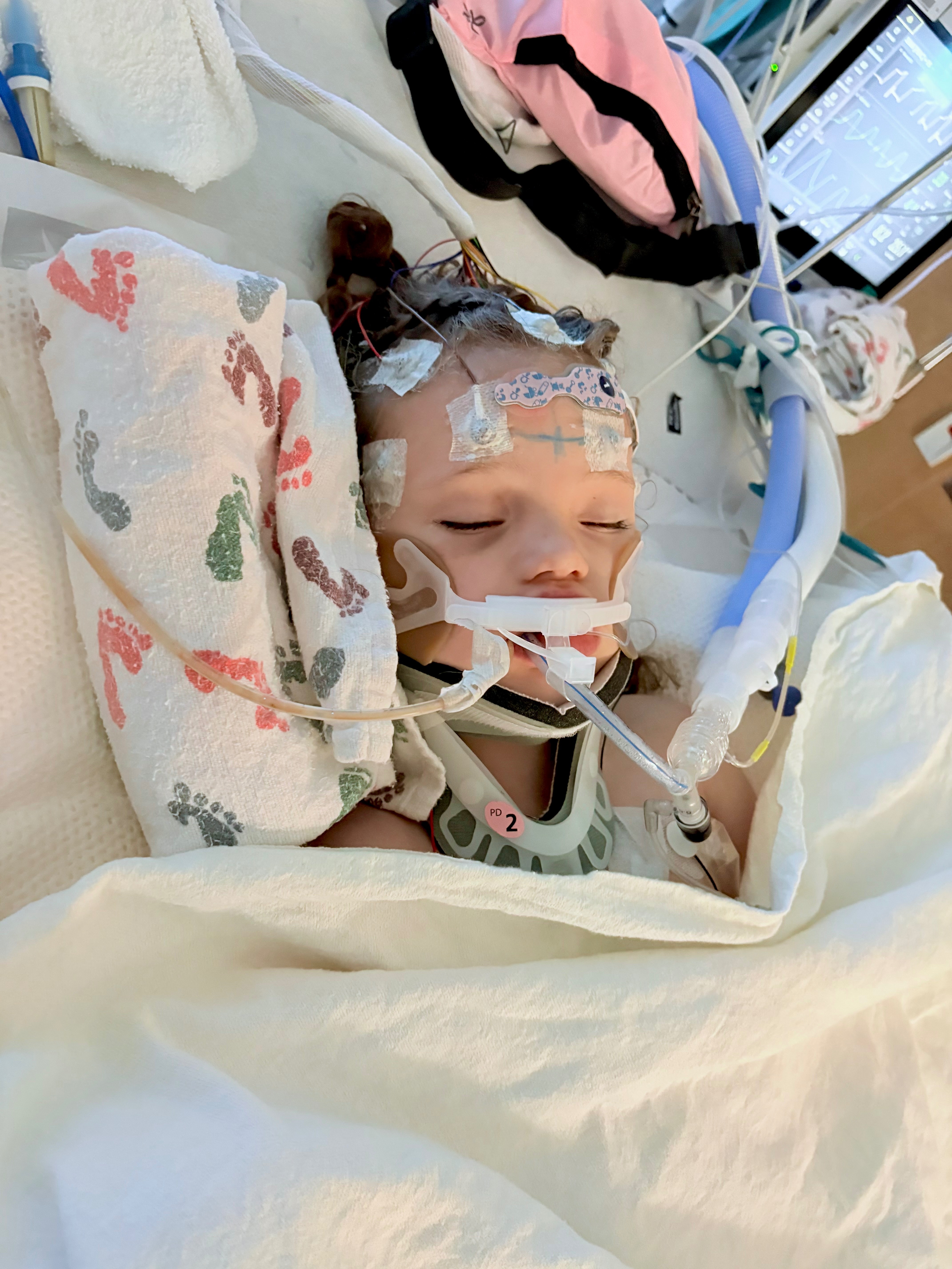 Help Support EverLeigh’s Heart Journey campaign photo, 2 of 8