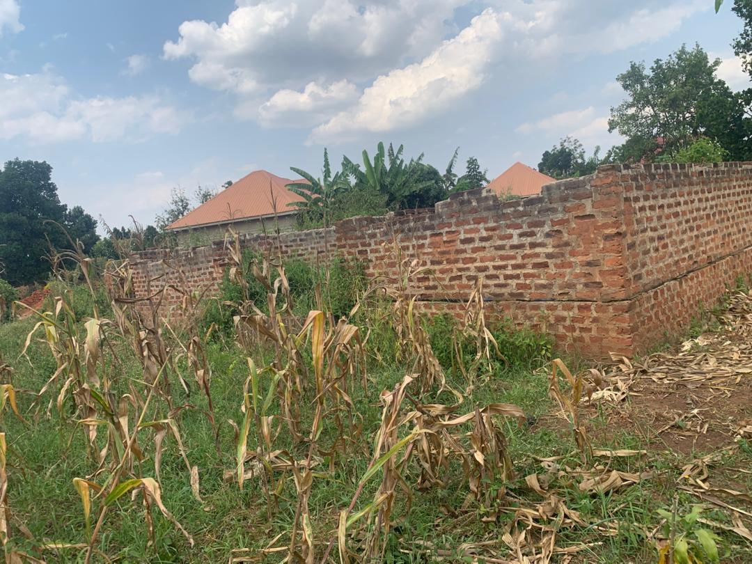Support KidHope's Farm for Uganda's Future campaign photo, 4 of 7