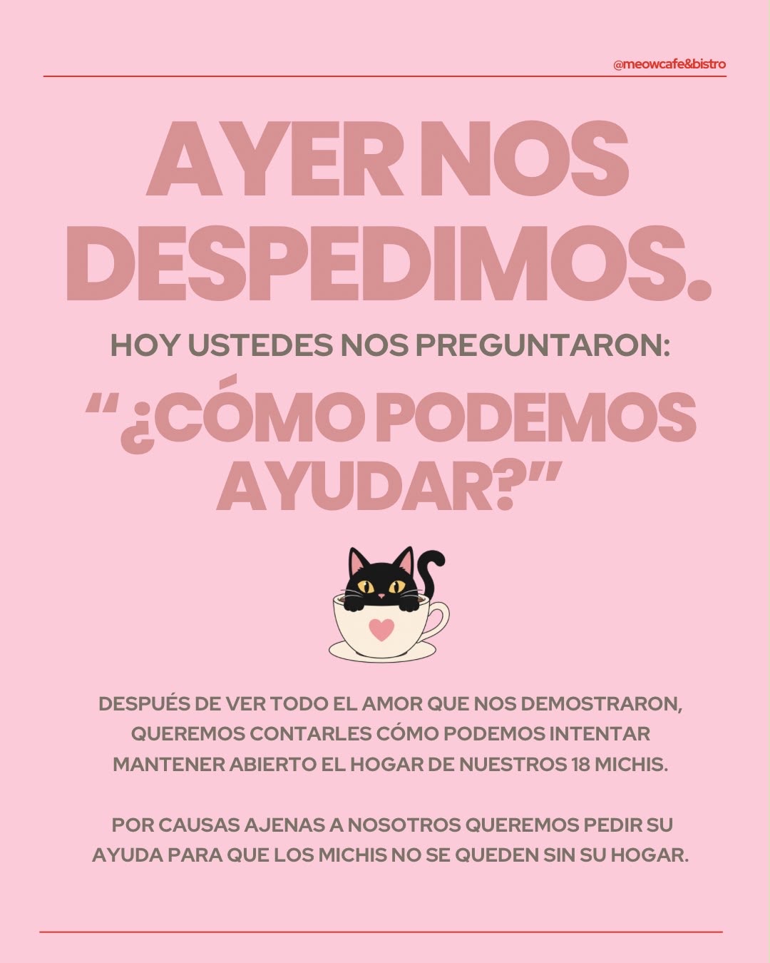 Foto de la recaudación de fondos Ayuda a nuestros michis a salvar su hogar!, 7 de 8