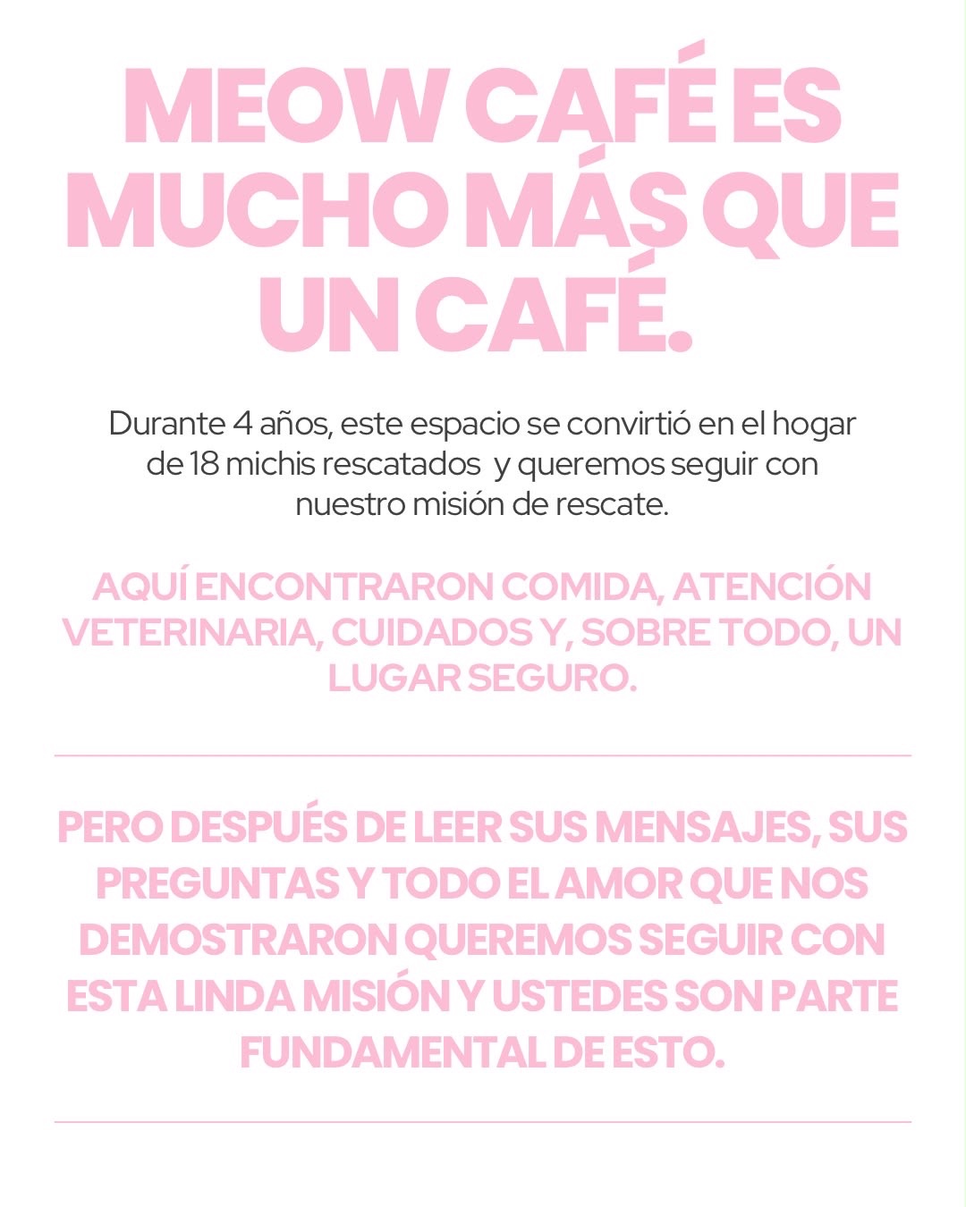 Foto de la recaudación de fondos Ayuda a nuestros michis a salvar su hogar!, 2 de 8