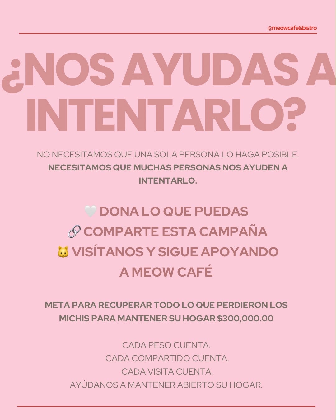 Foto de la recaudación de fondos Ayuda a nuestros michis a salvar su hogar!, 4 de 8