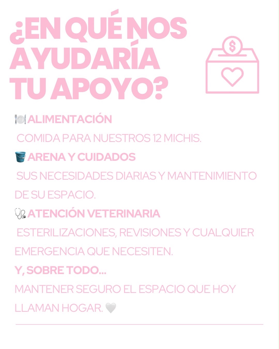 Foto de la recaudación de fondos Ayuda a nuestros michis a salvar su hogar!, 5 de 8