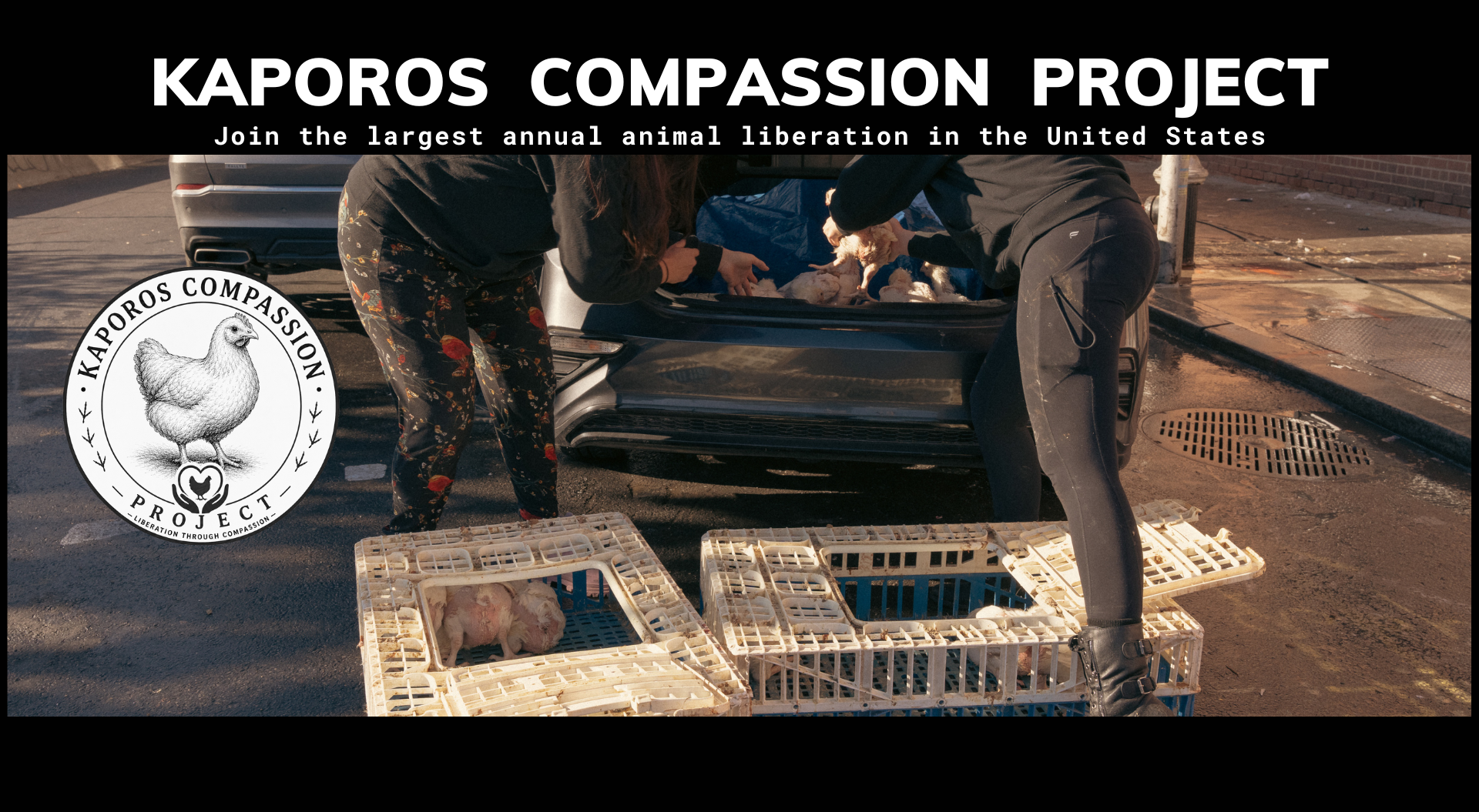 Help Us rescue Hundreds of Innocent Lives from Kaporos! campaign photo, 7 of 8