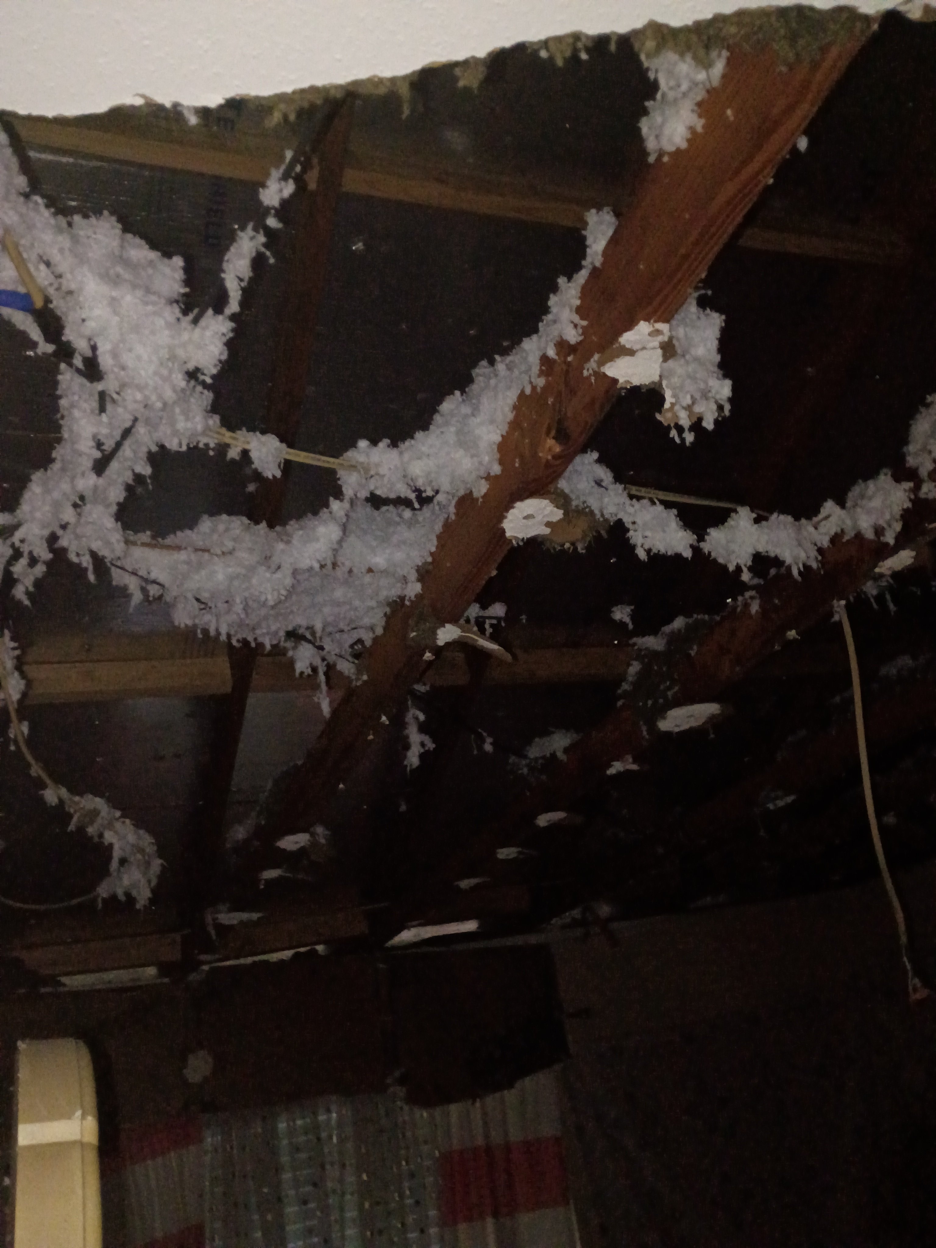 Help Seizure Recover After Ceiling Collapse campaign photo, 6 of 6