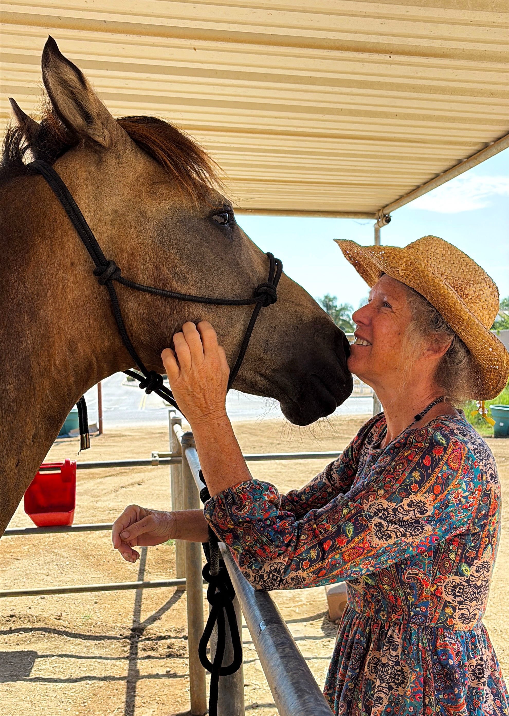 New Arrival at S&D Horseback Riding campaign photo, 7 of 8