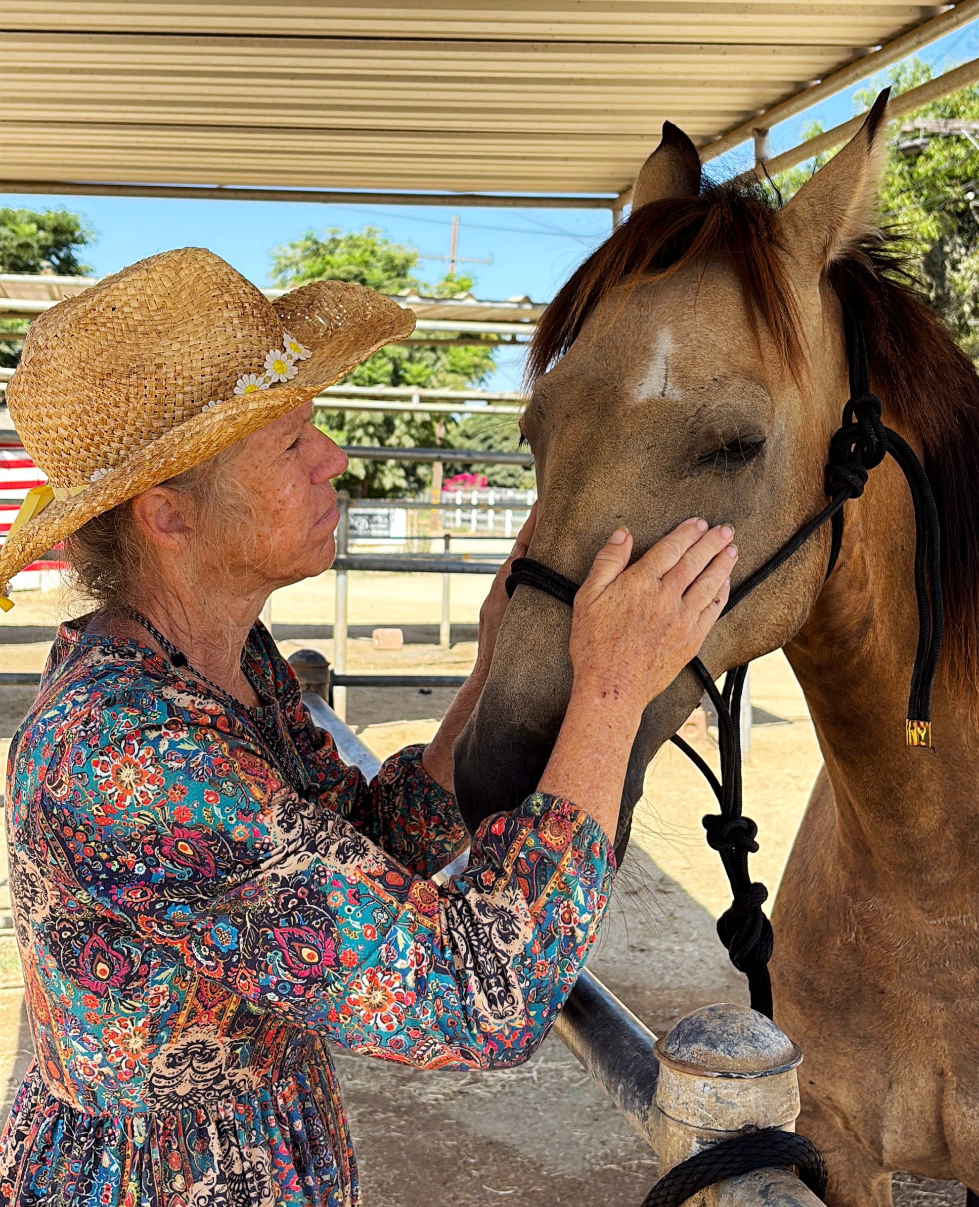 New Arrival at S&D Horseback Riding campaign photo, 2 of 8