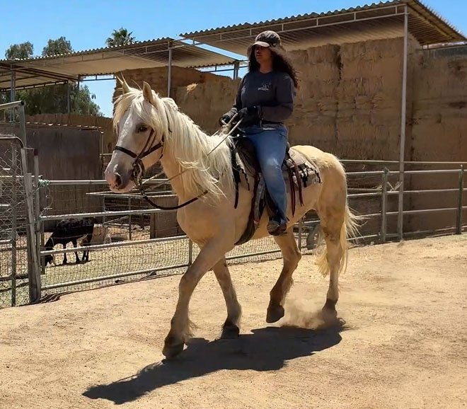 S&D Horseback Riding : Fabio campaign photo, 5 of 6