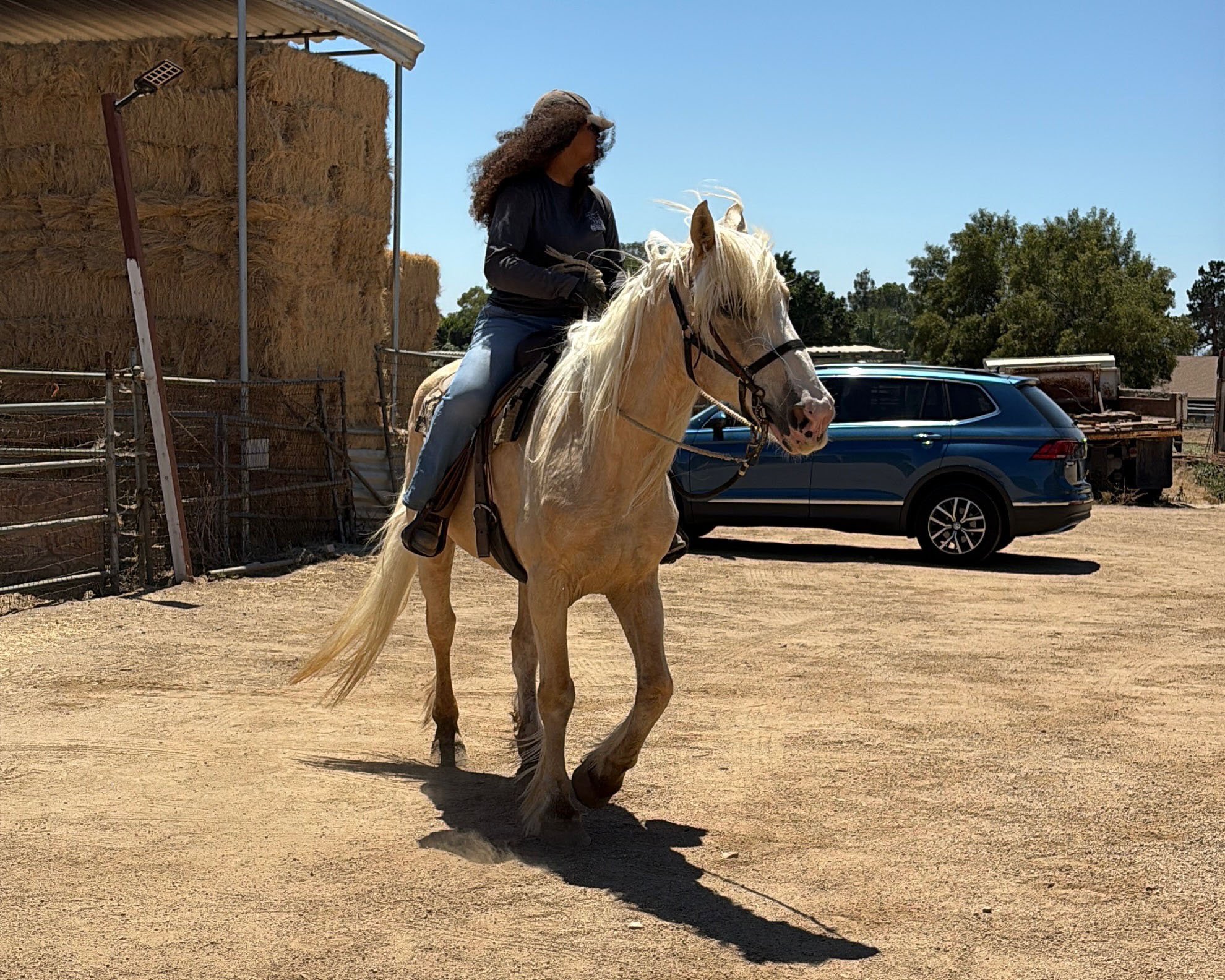 S&D Horseback Riding : Fabio campaign photo, 4 of 6