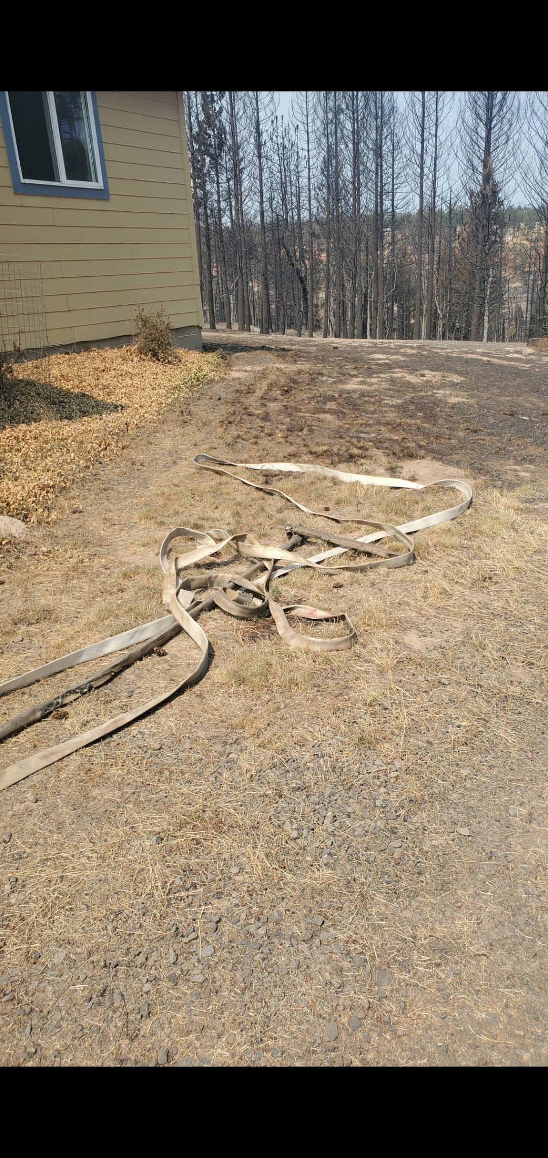 Help the French Family After the Grasshopper Fire campaign photo, 5 of 8