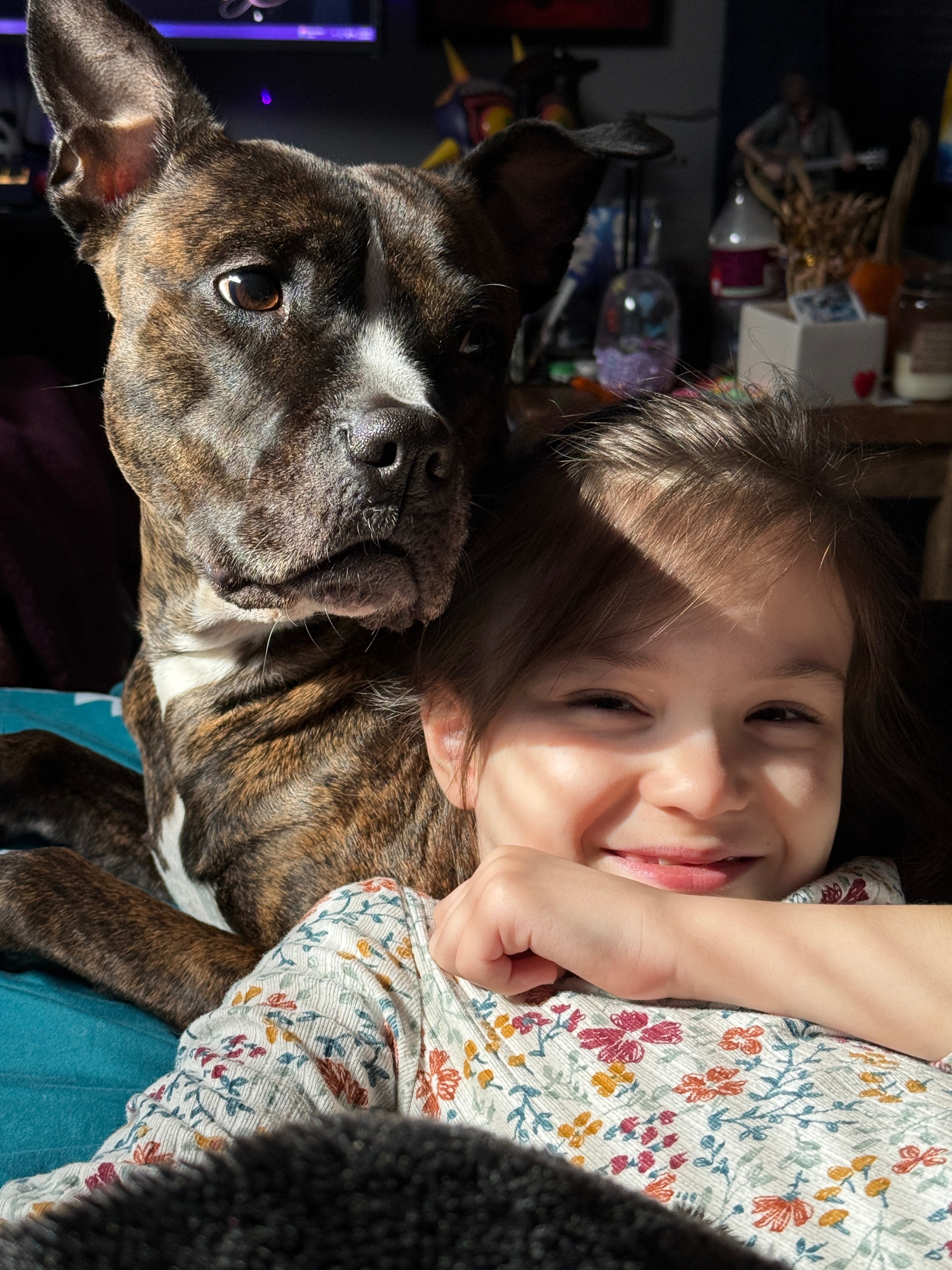 Support Zelda’s Life-Saving Surgery campaign photo, 6 of 7