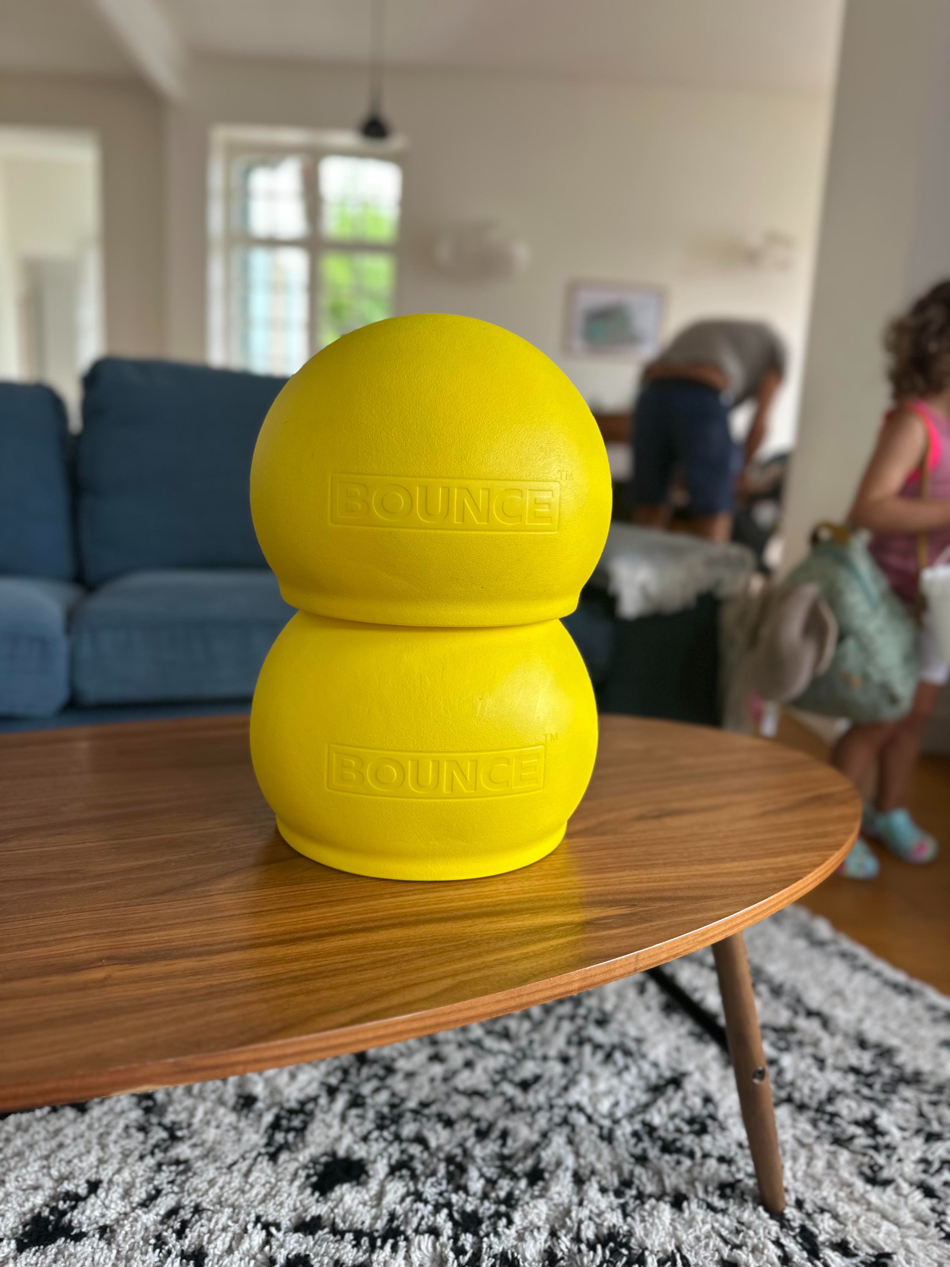 Help Bring BOUNCE™ to Our Classroom campaign photo, 4 of 8