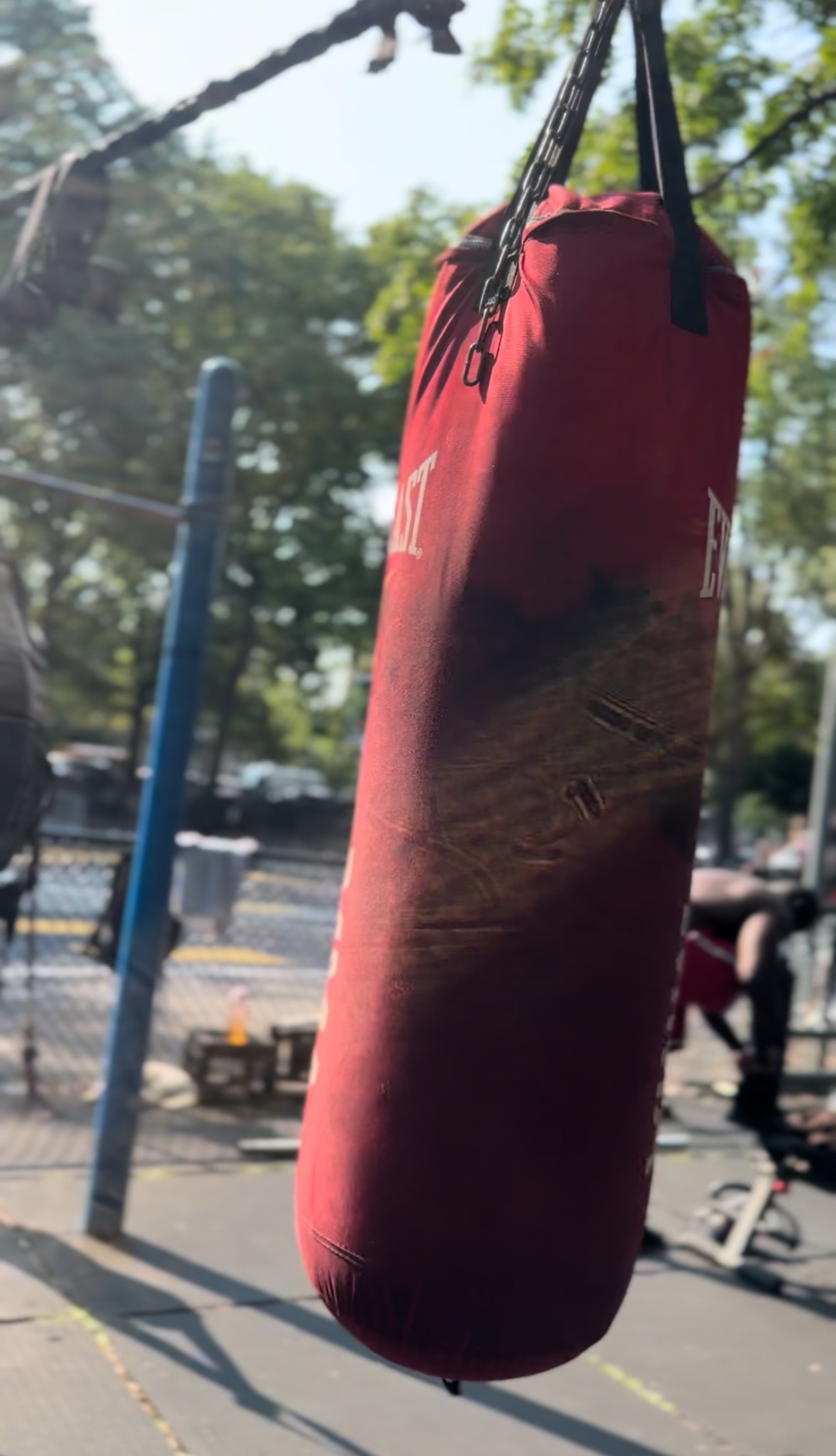Revitalize The Lions Den in Marcus Garvey Park campaign photo, 7 of 8