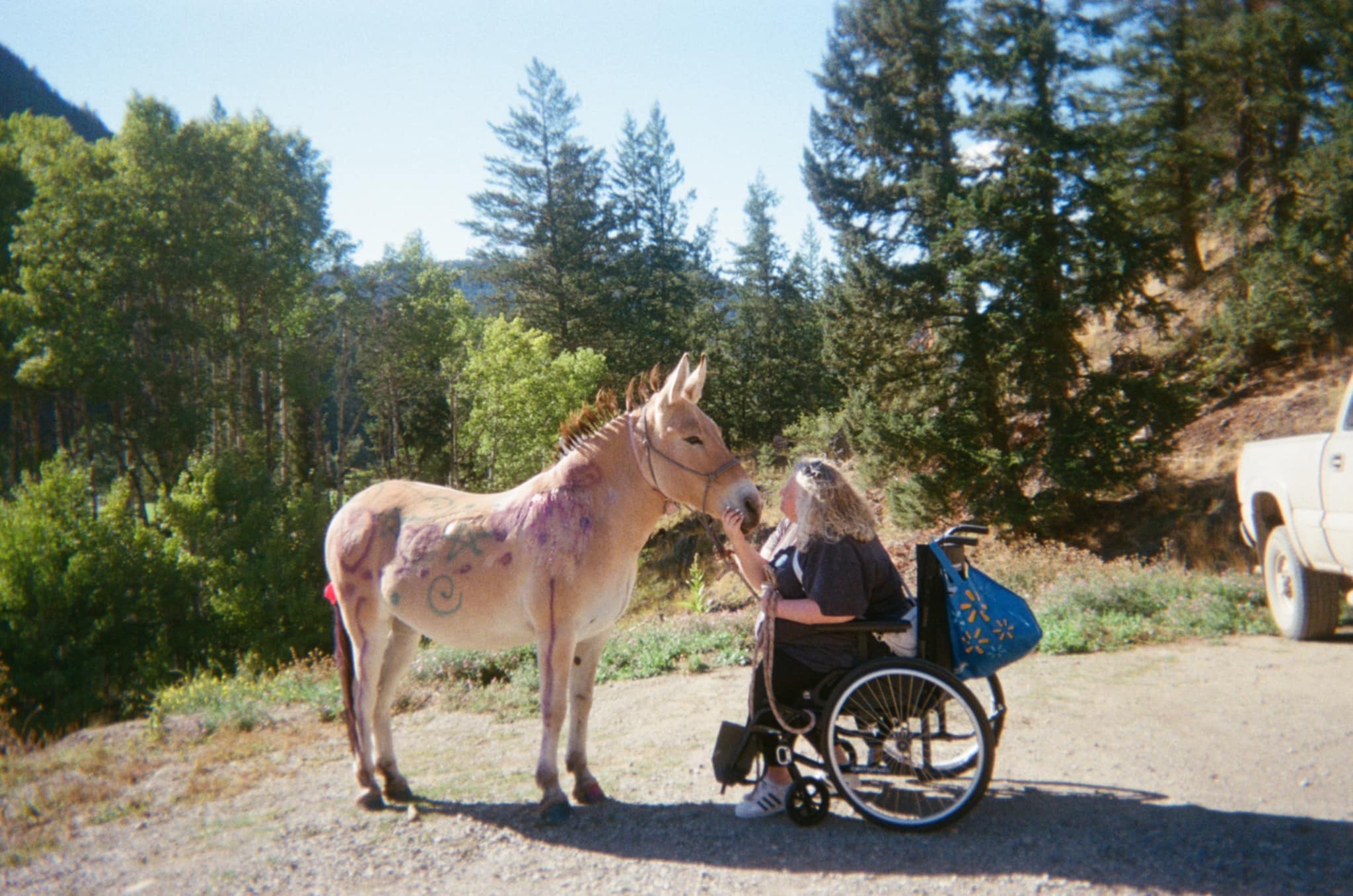 Help Michelle Rebuild After the Bald Range Fire campaign photo, 4 of 7