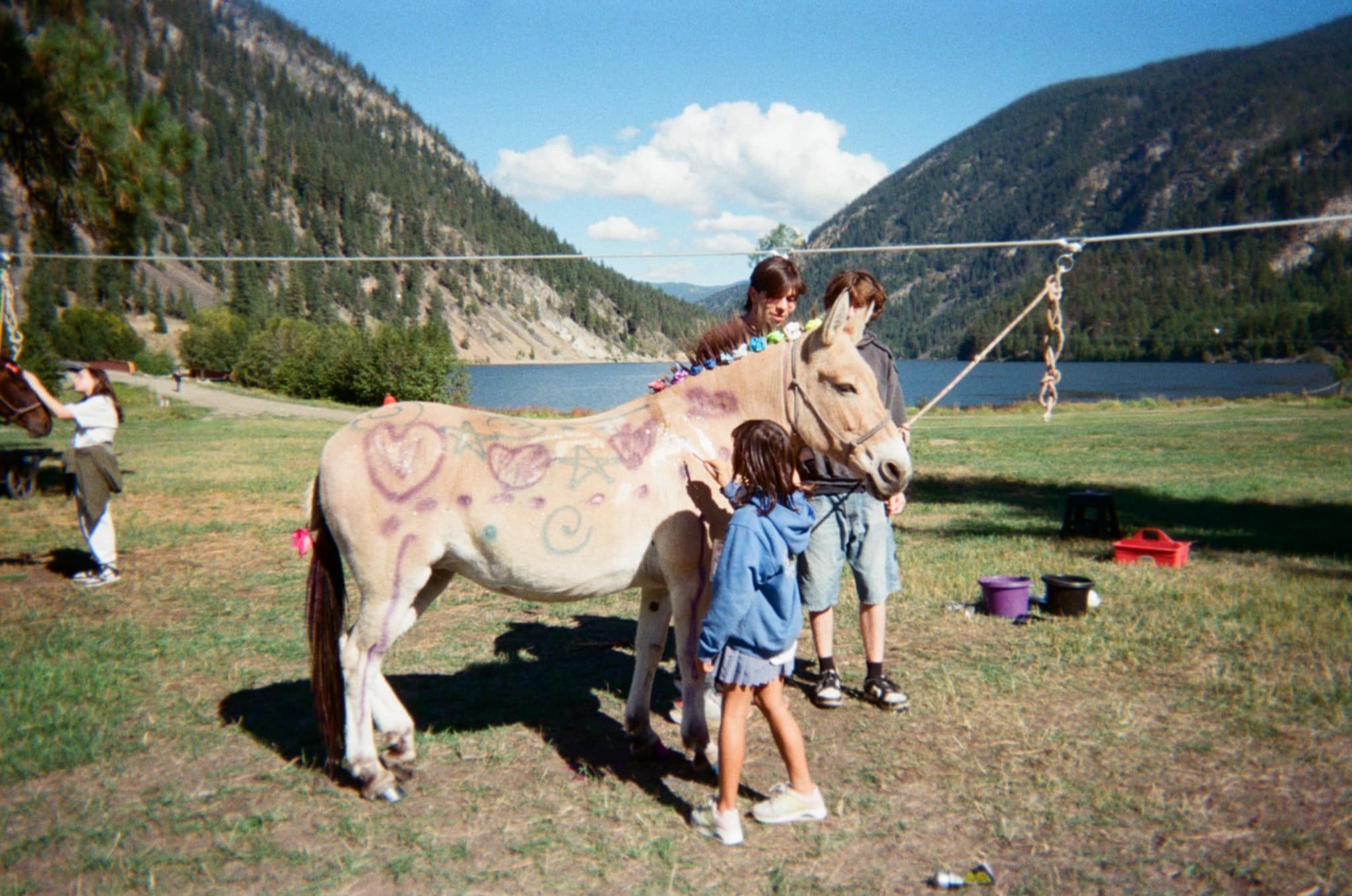 Help Michelle Rebuild After the Bald Range Fire campaign photo, 2 of 7