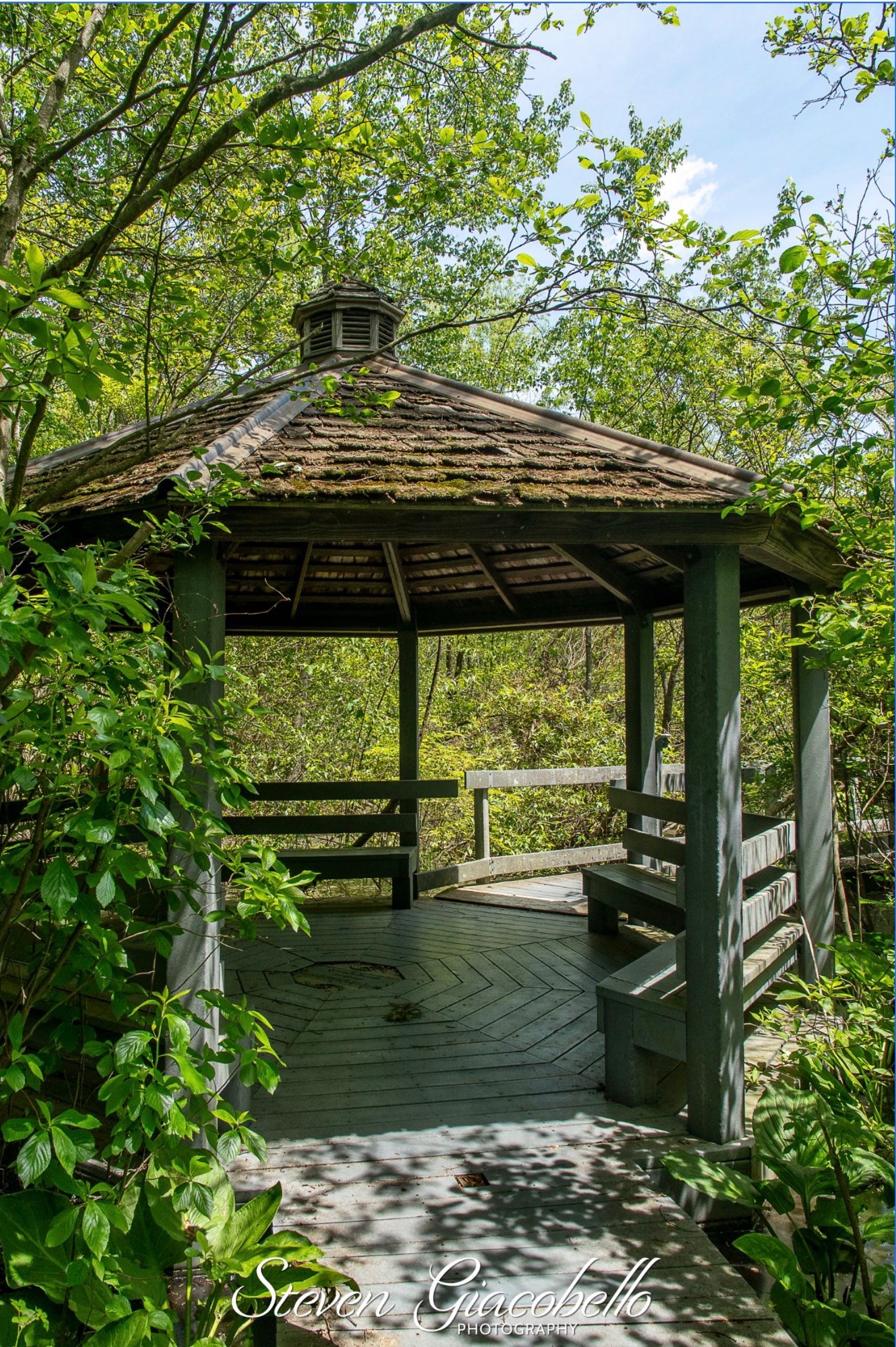 Support Eagle Scout project in benefit of Croton Arboretum campaign photo, 4 of 6
