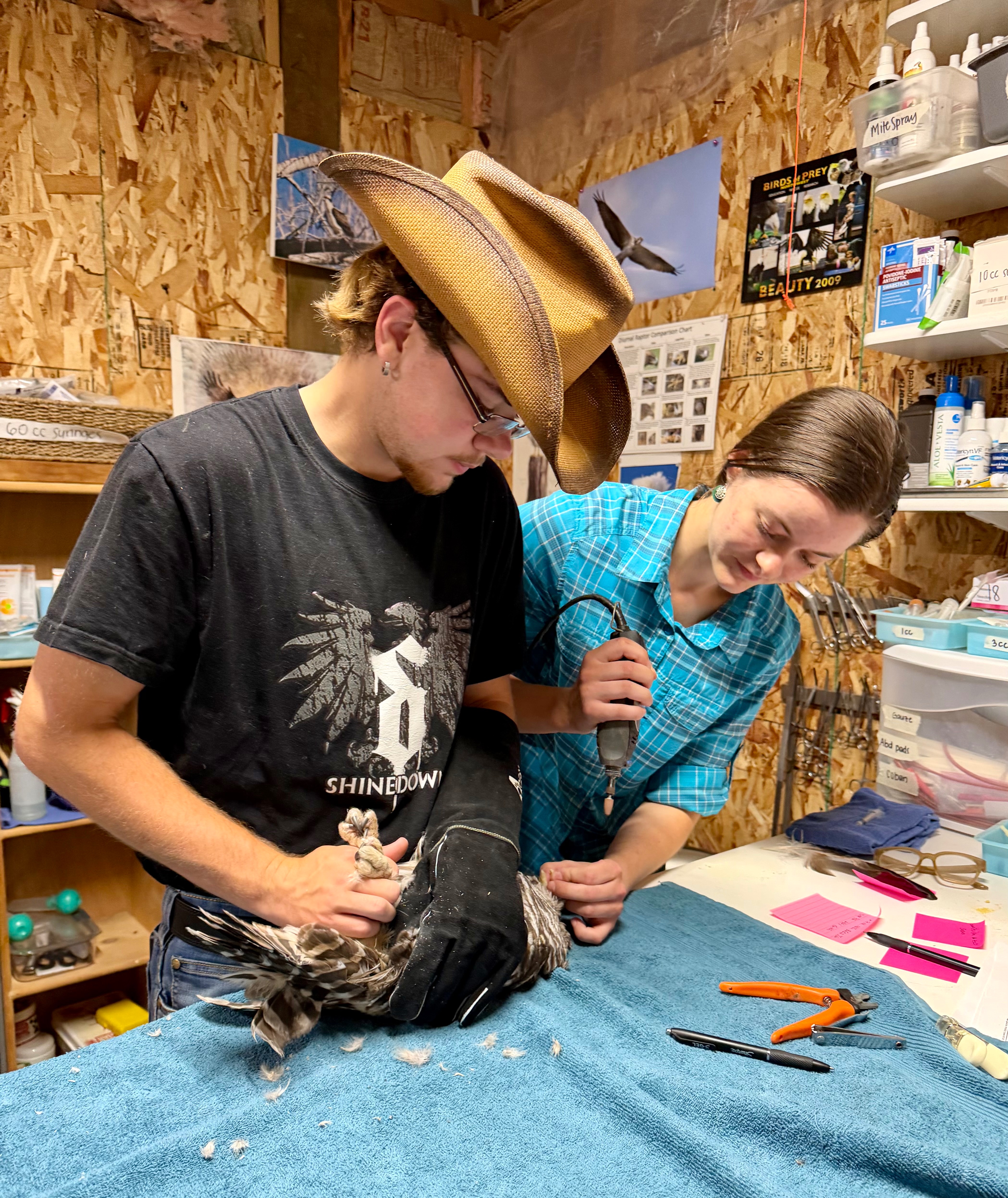 HELP US BUILD A PLACE TO GROW! campaign photo, 4 of 8