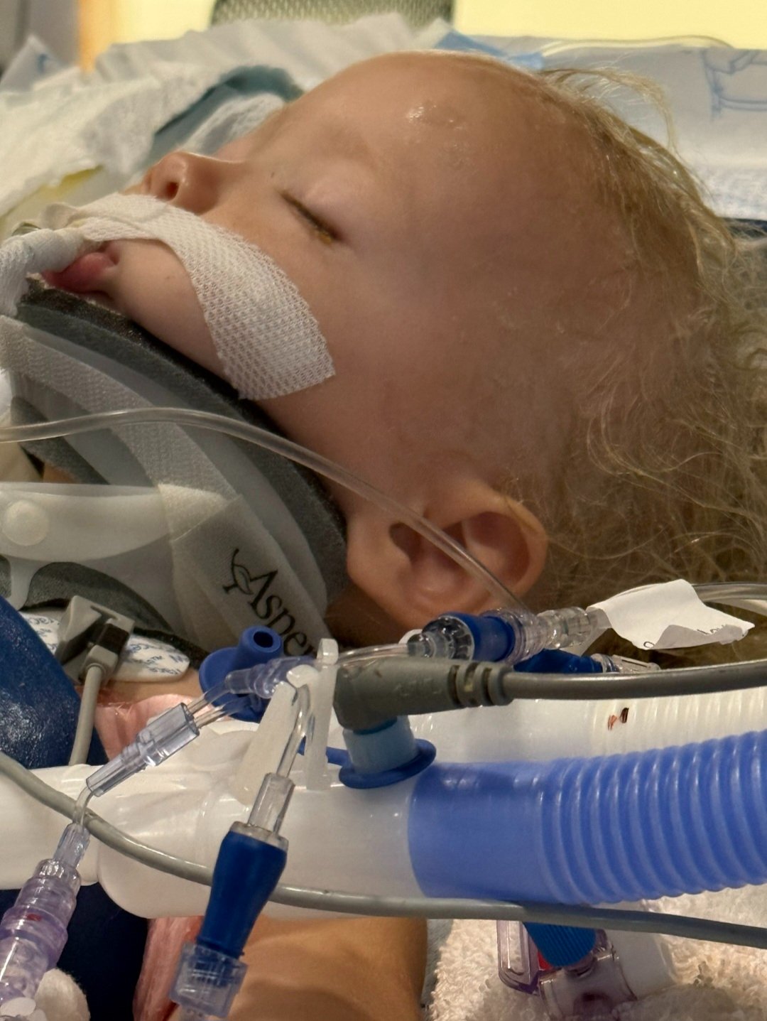 Help Alayna and Her Family Through This Devastating Crisis campaign photo, 8 of 9