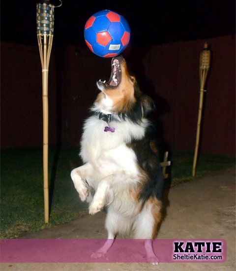 Katie Surgery and Legal Fees campaign photo, 2 of 5